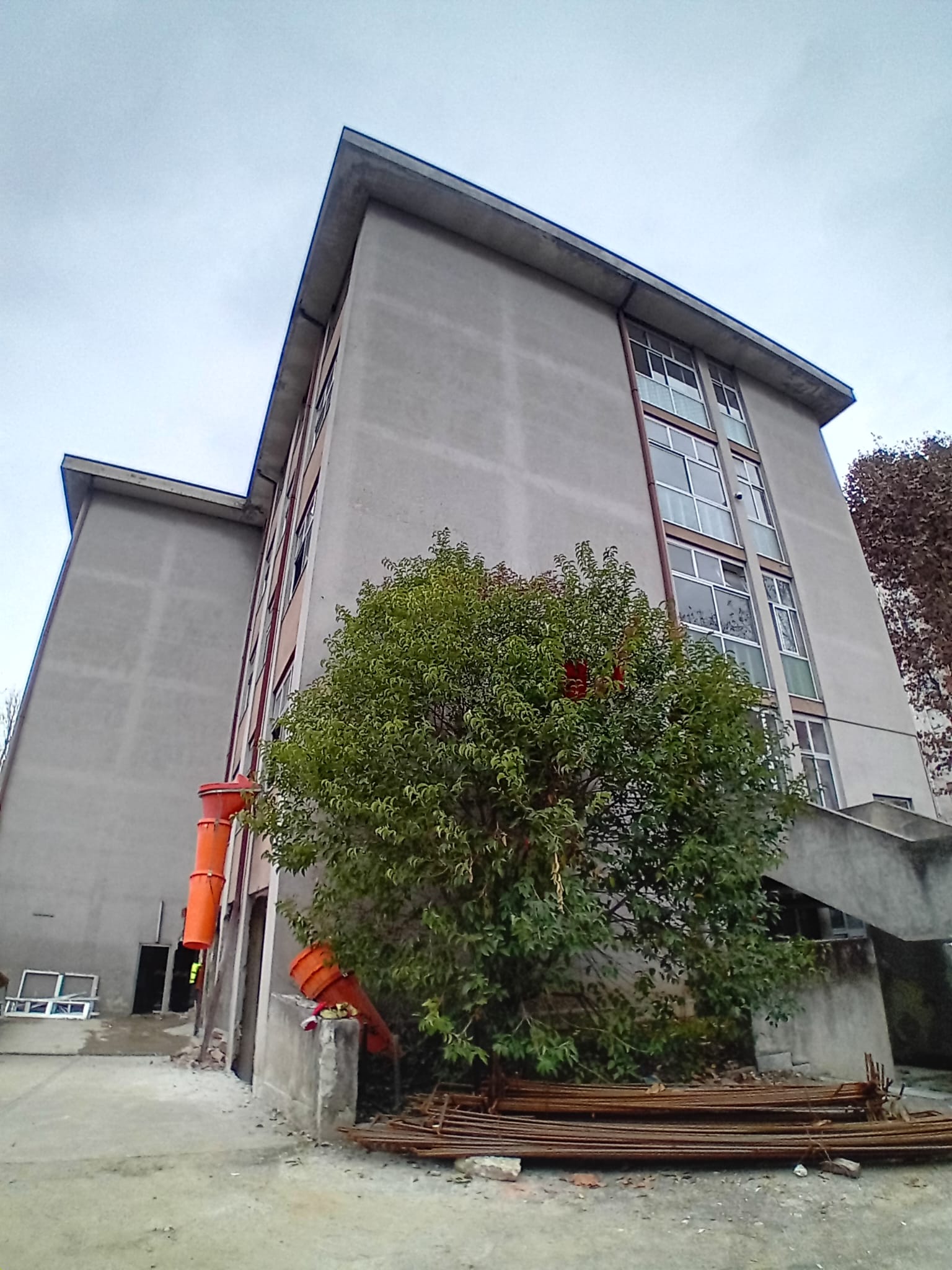 immagine di galleria