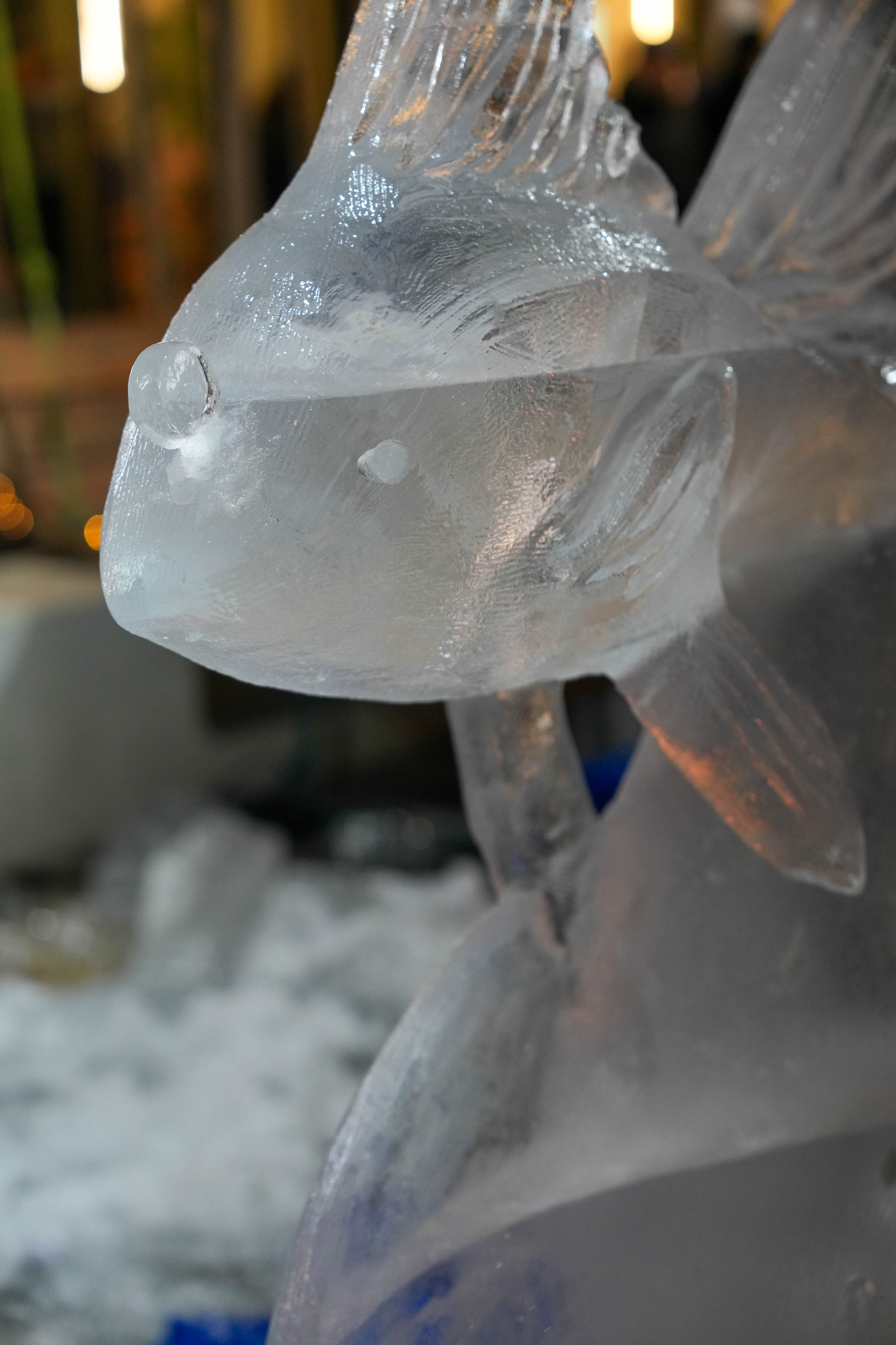 immagine di galleria 'World Ice Art Championship'