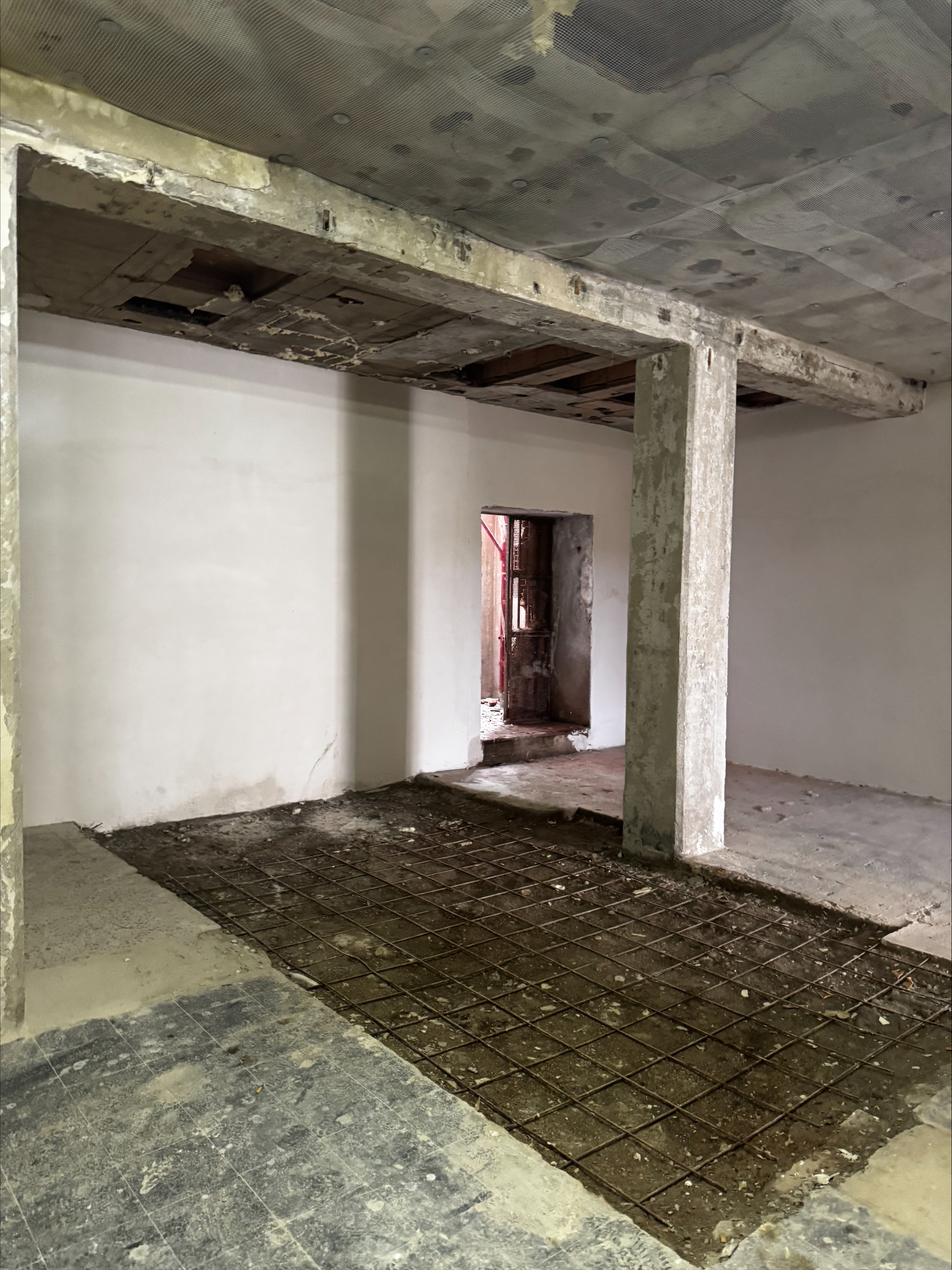 immagine di galleria