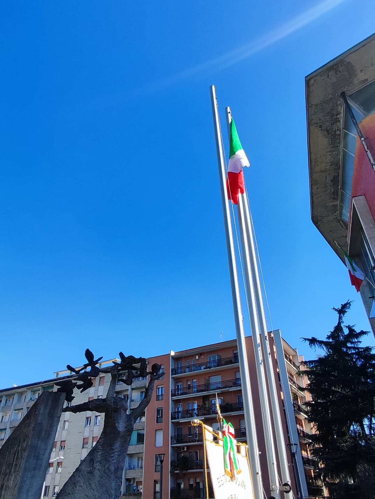 immagine di galleria