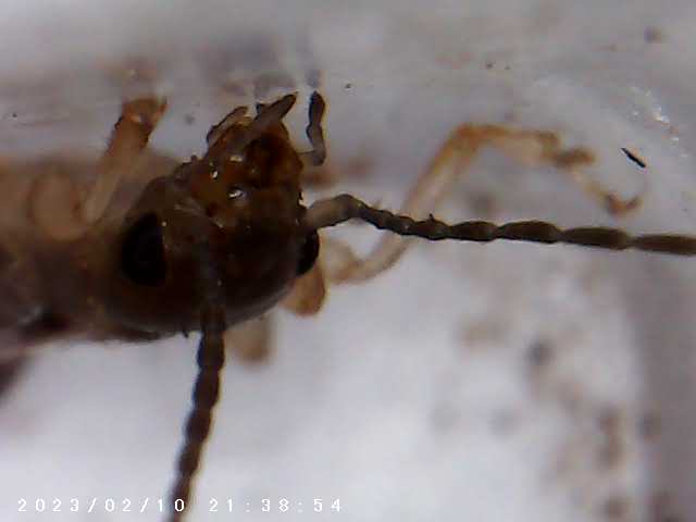 immagine di galleria