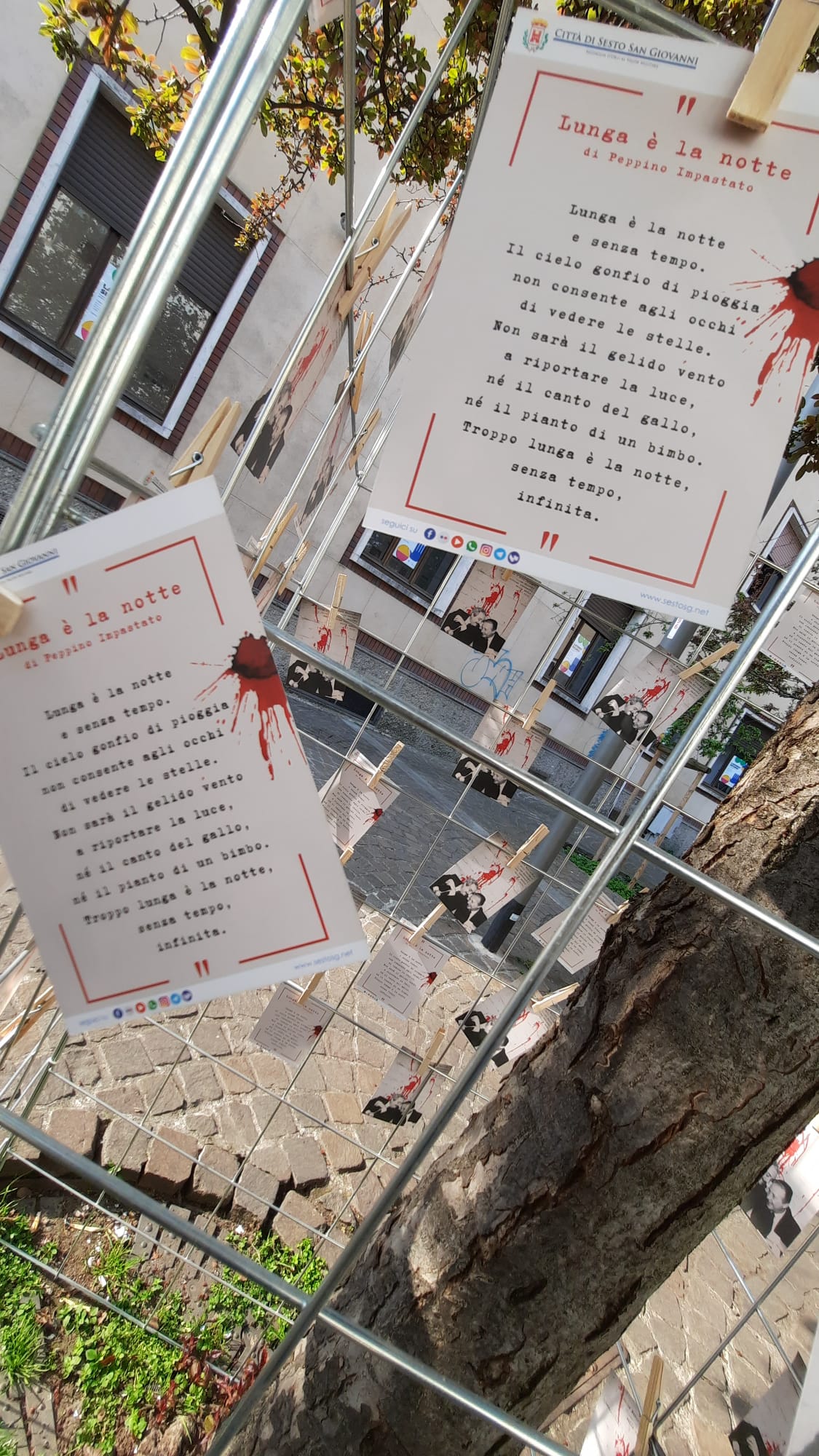 immagine di galleria