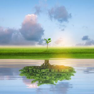 Immagine dell'elemento La bonifica: che cos’è, chi la fa e chi controlla