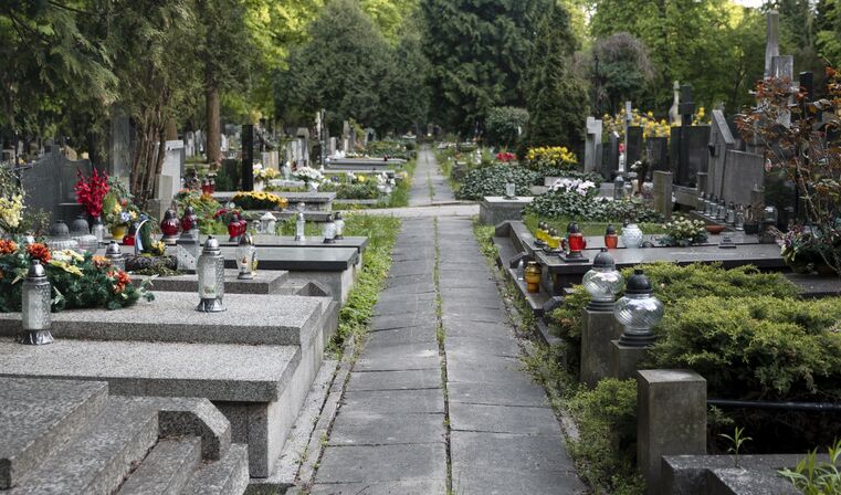 Un'immagine generica segnaposto con angoli arrotondati in una figura.