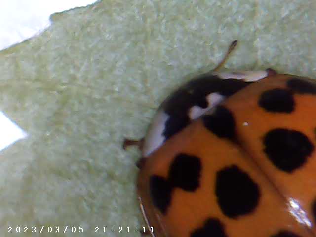 immagine di galleria