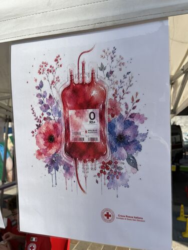 immagine di galleria 'Festa dello Sport, del Volontariato e della Salute 2026'