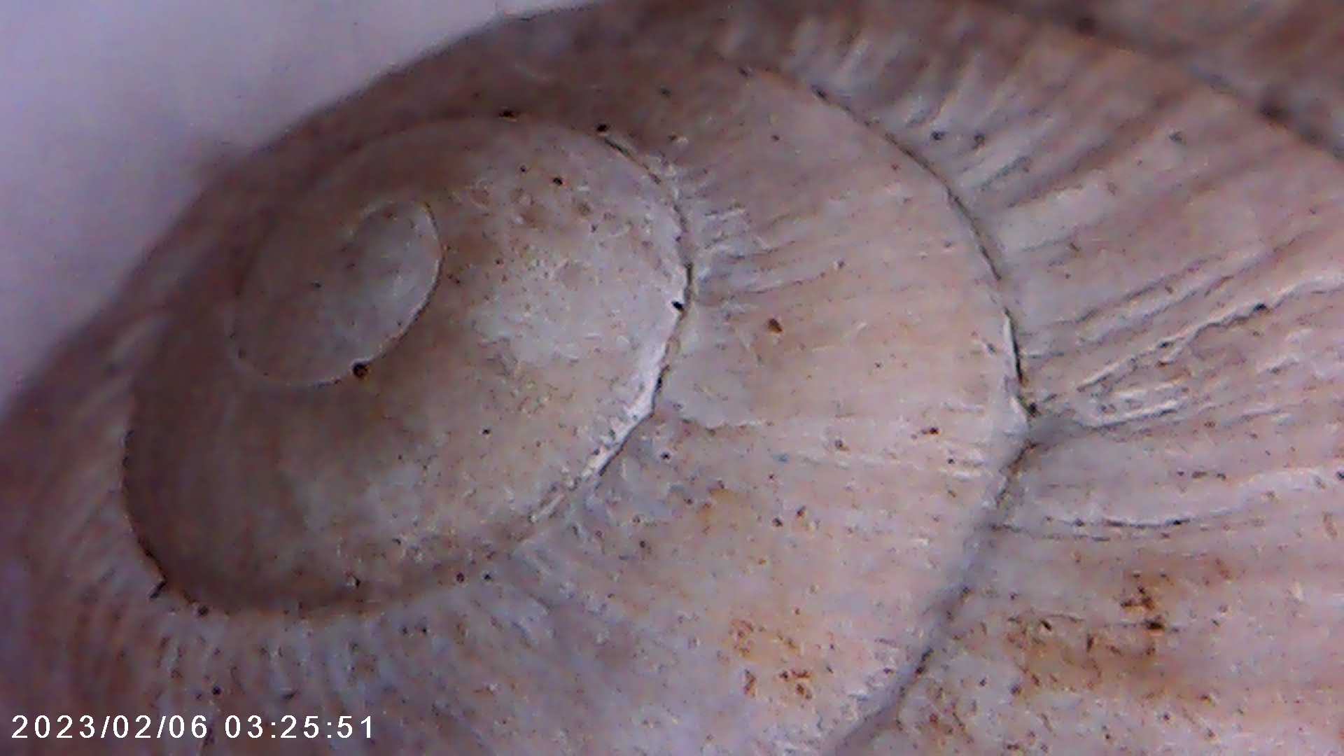 immagine di galleria