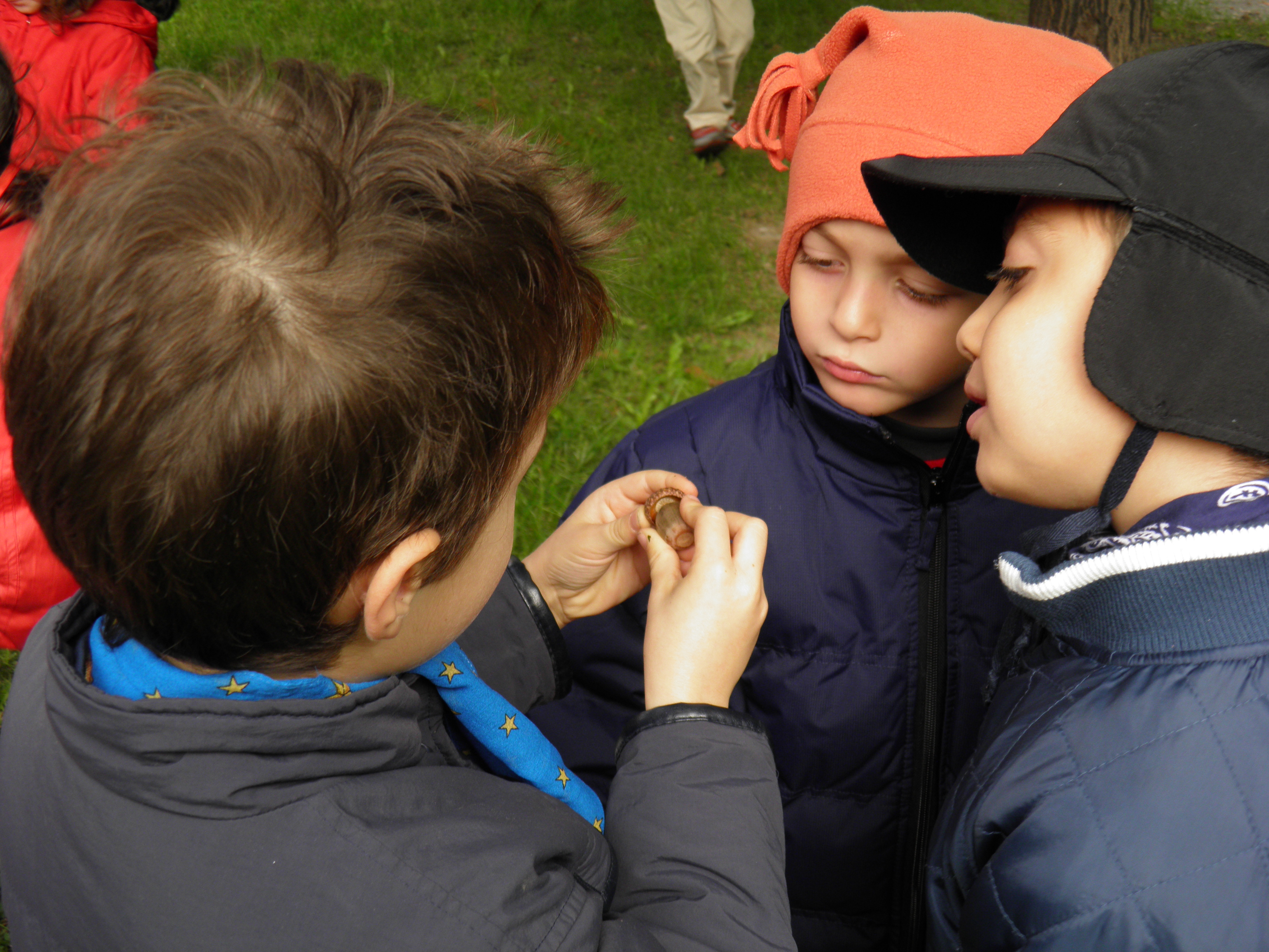 immagine di galleria