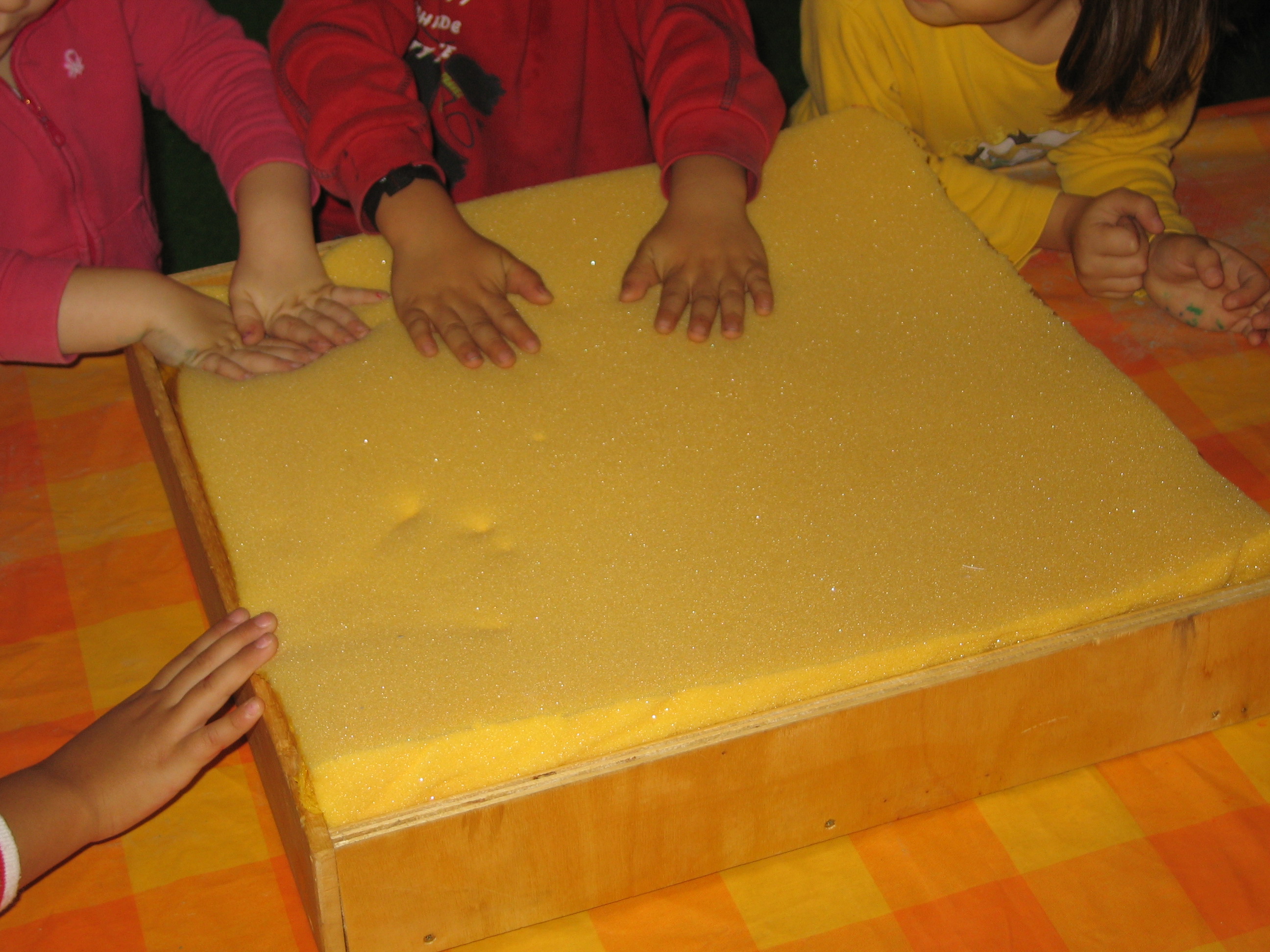 immagine di galleria 'C4S Communities for Sciences: le foto'