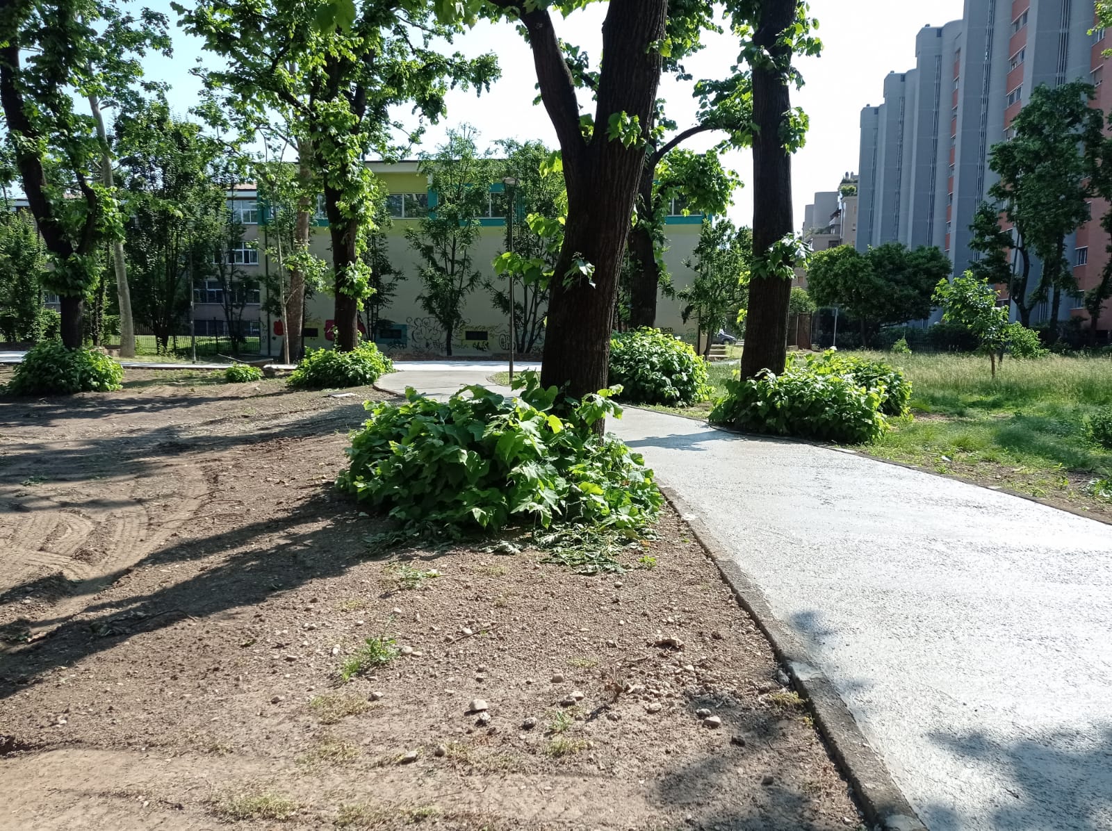 immagine di galleria 'Riqualificazione del giardino Norma Cossetto'