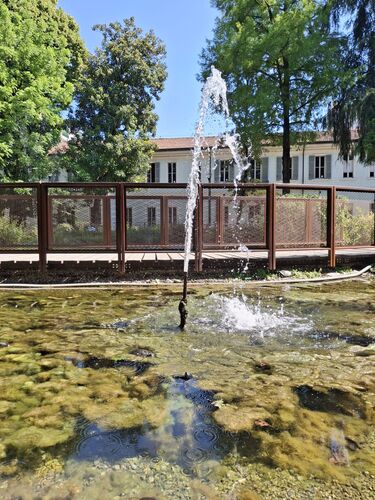 immagine di galleria 'Riqualificazione del giardino di villa Mylius - seconda parte'