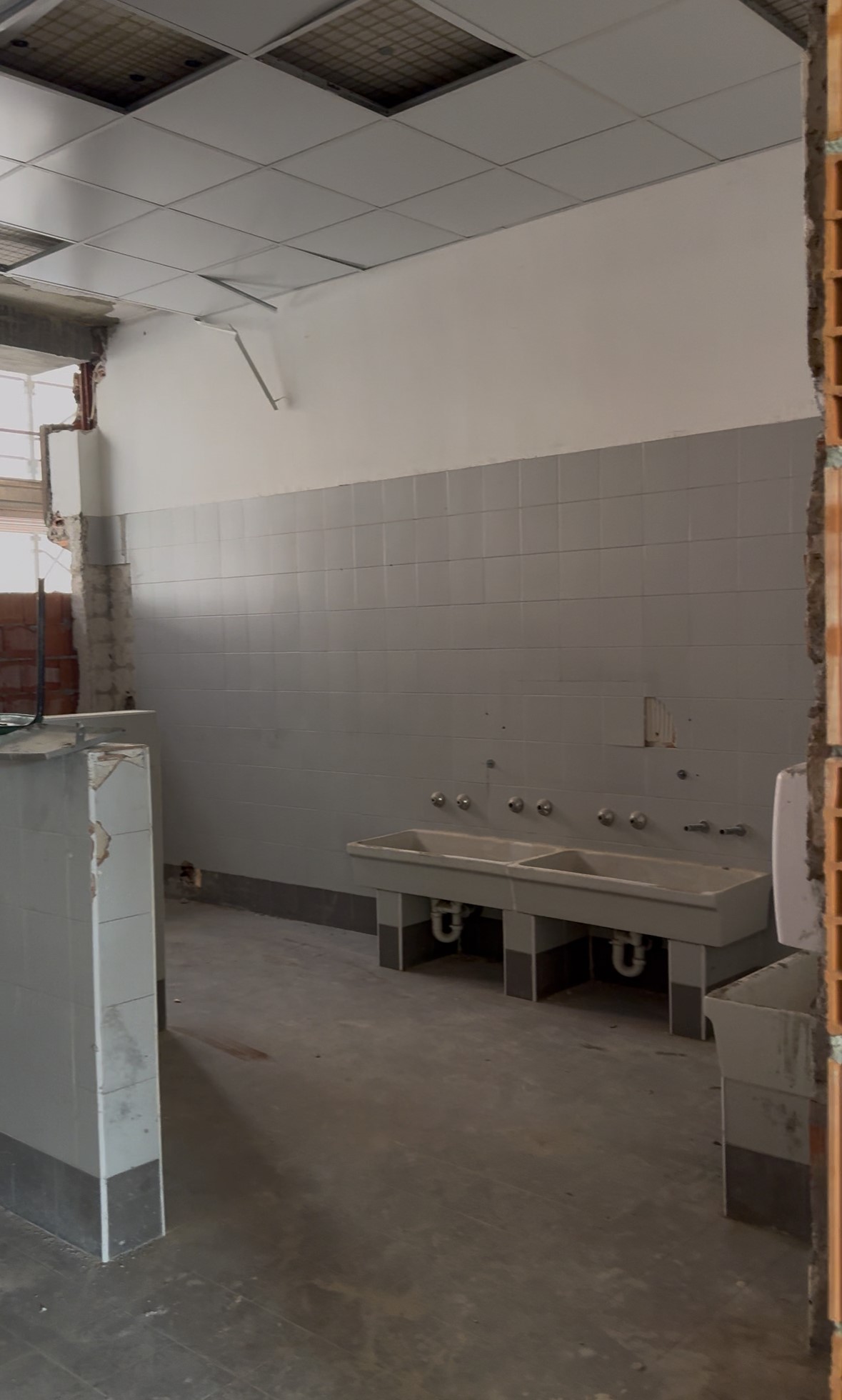 immagine di galleria