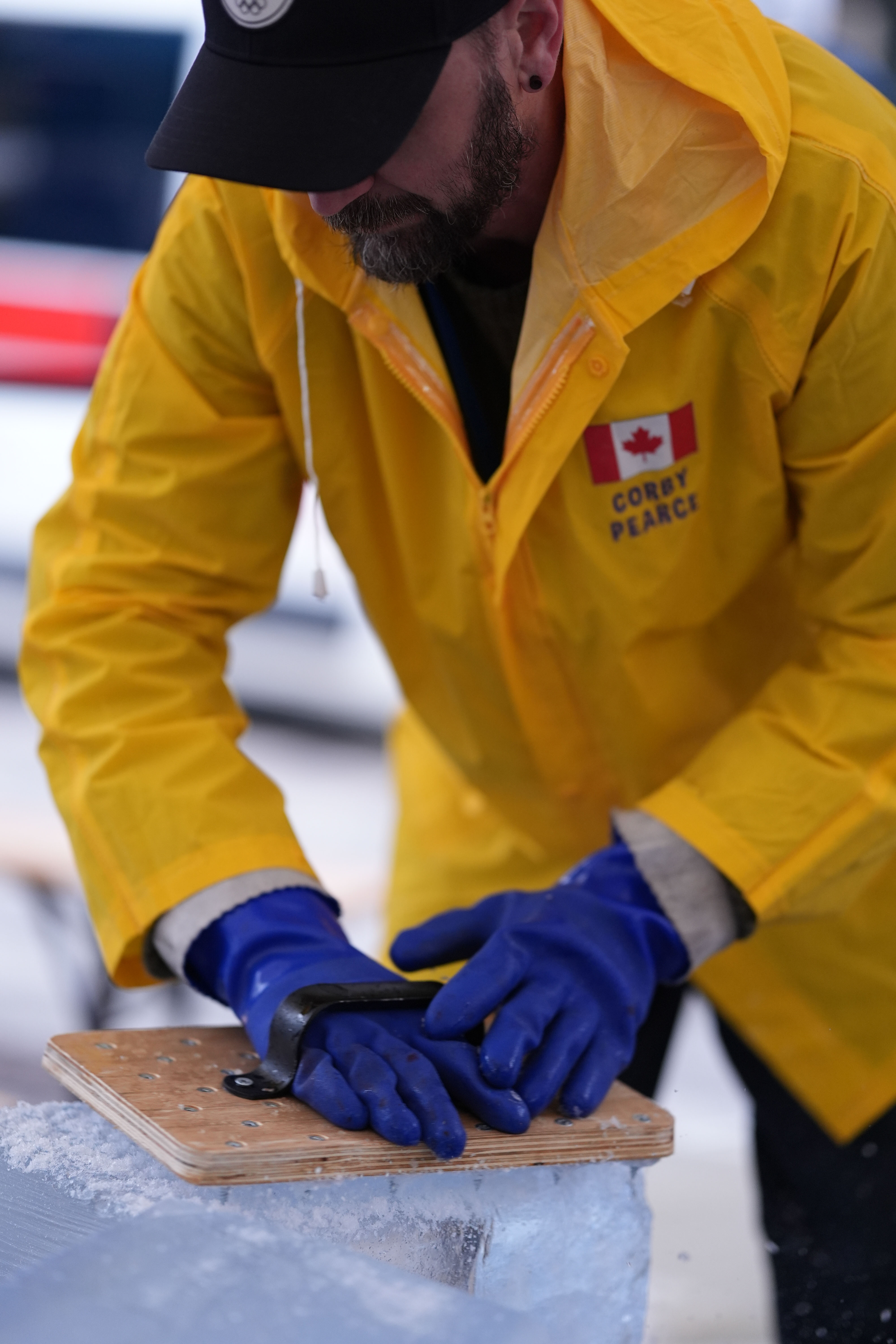 immagine di galleria