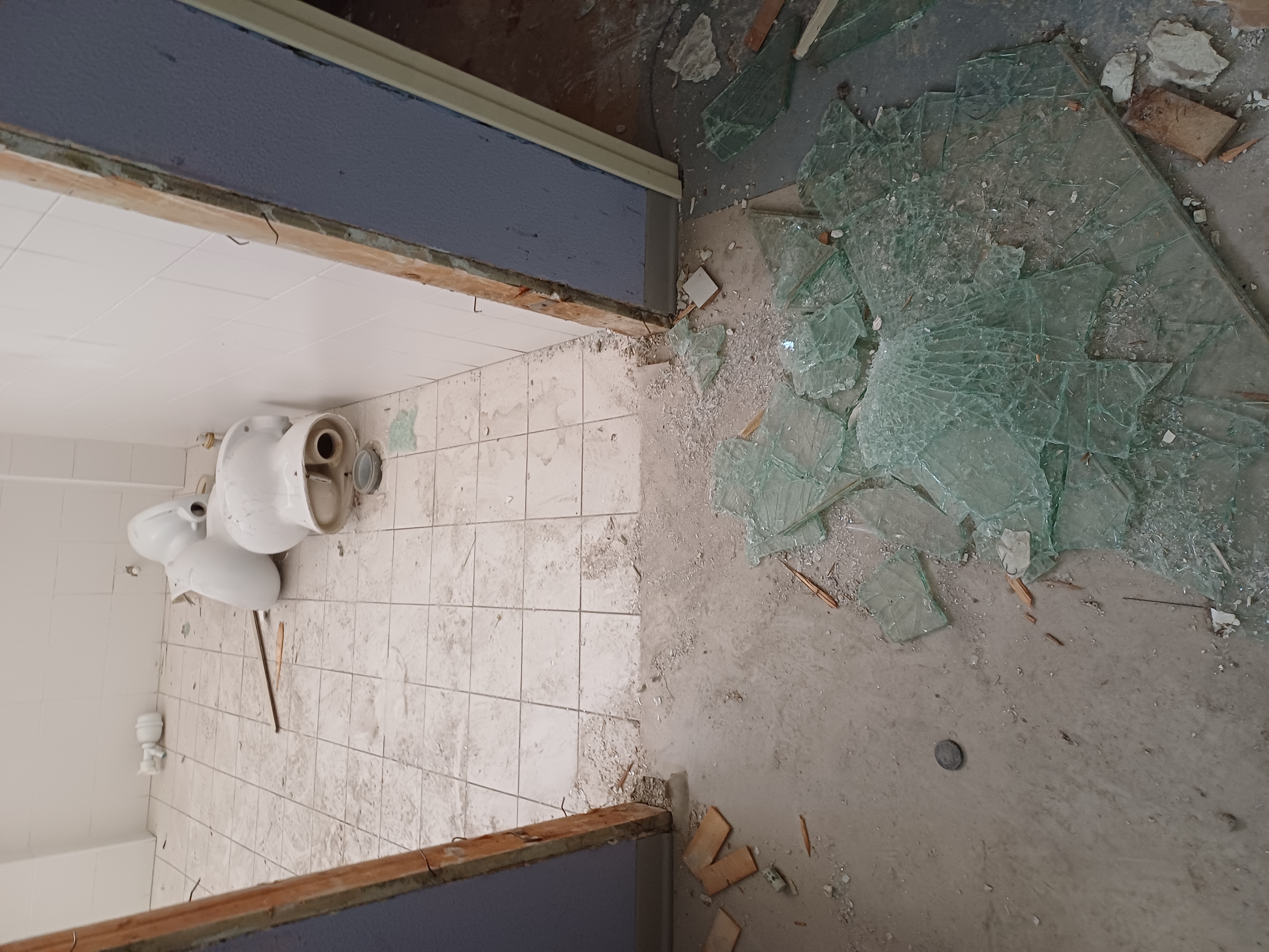 immagine di galleria