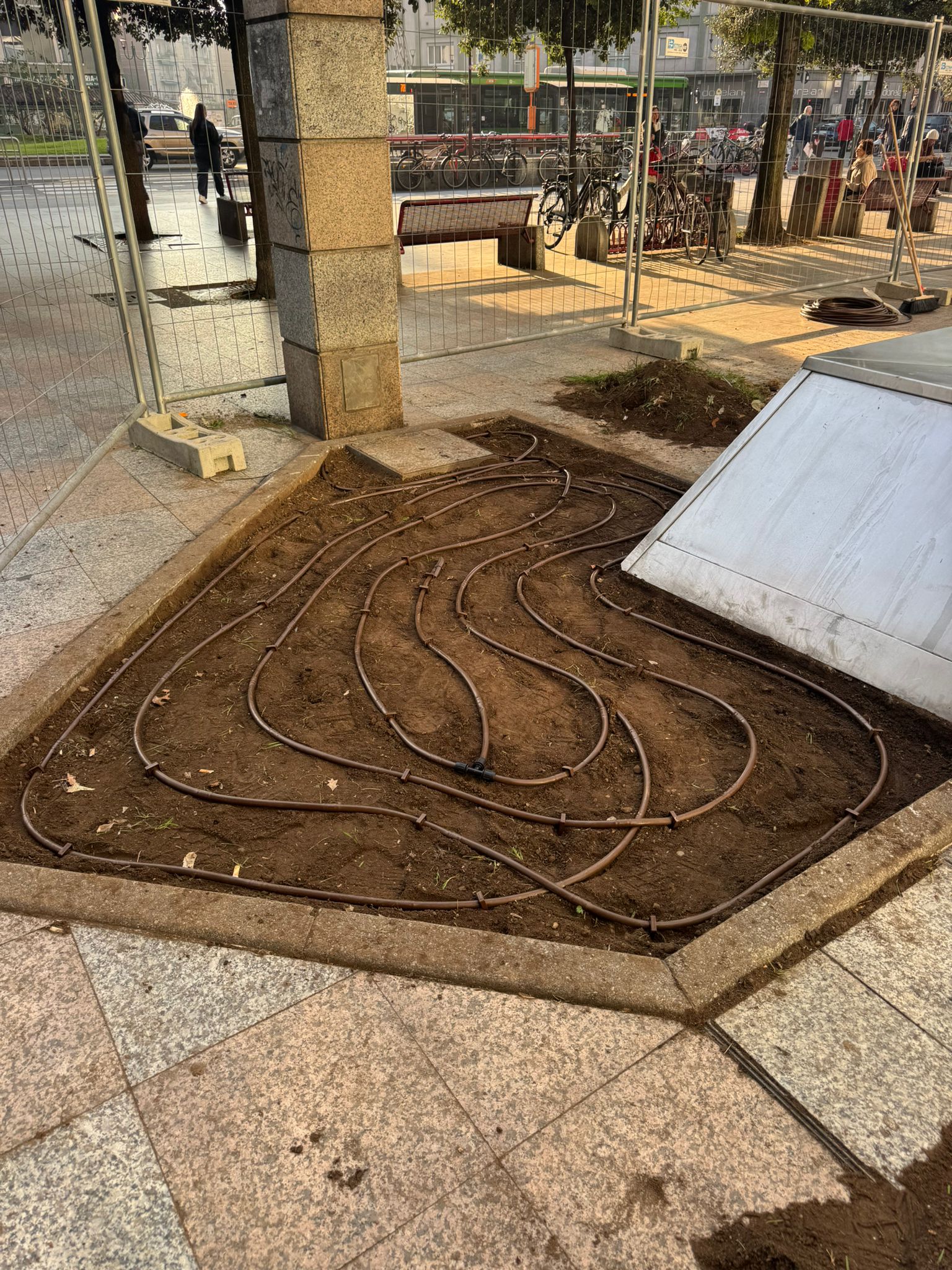 immagine di galleria