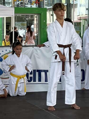 immagine di galleria 'Festa dello Sport, del Volontariato e della Salute 2026'