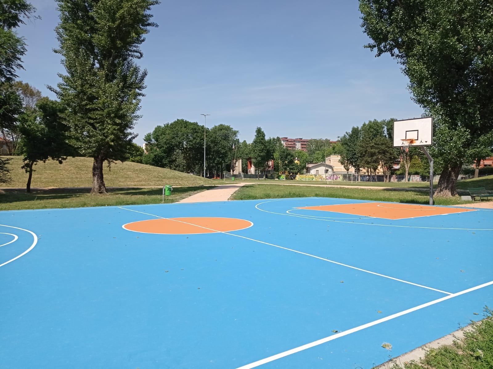 immagine di galleria