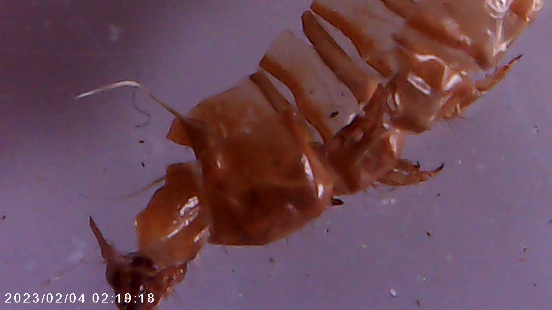 immagine di galleria