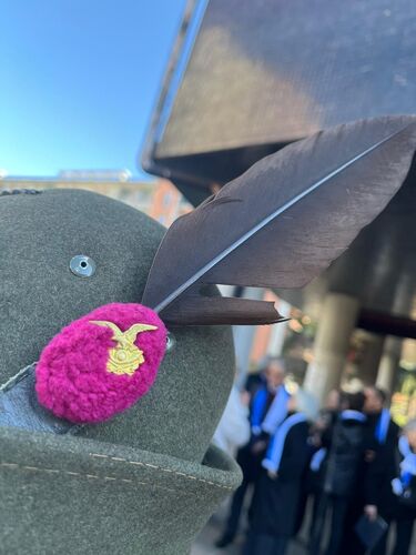 immagine di galleria 'Giornata dell'Unità Nazionale'