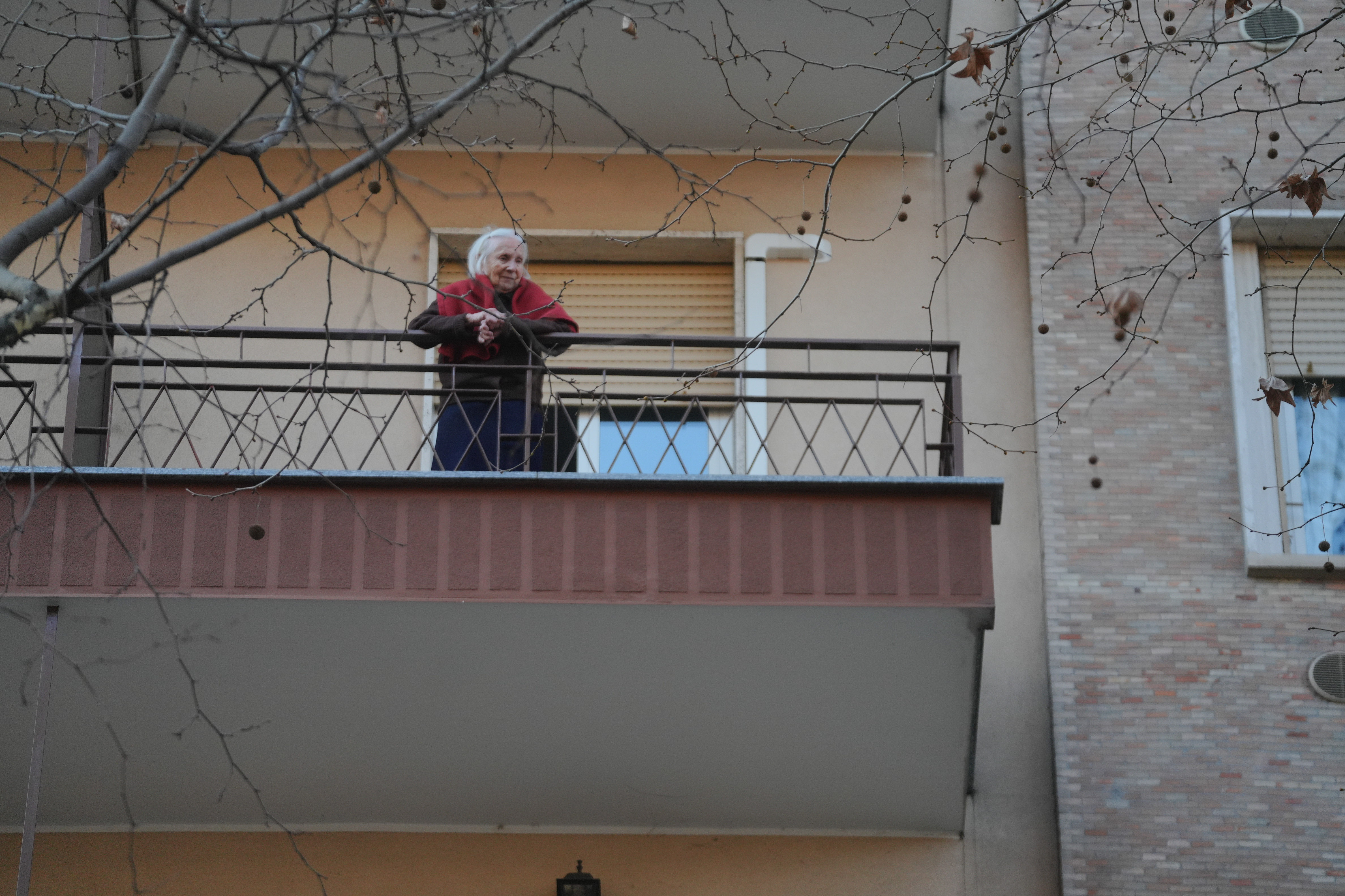 immagine di galleria 'Carnevale 2025'