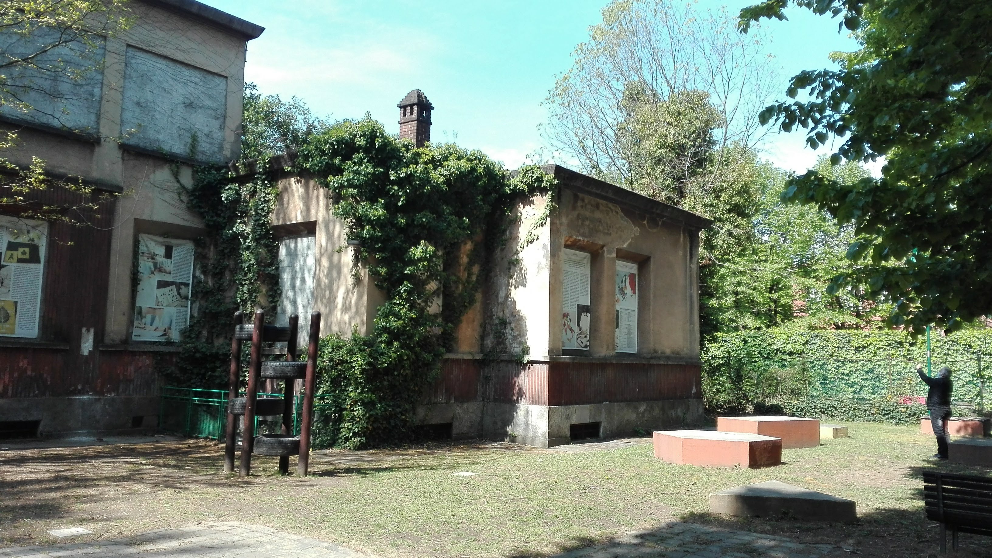 immagine di galleria