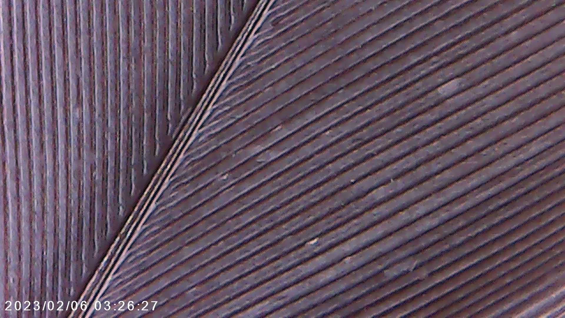 immagine di galleria