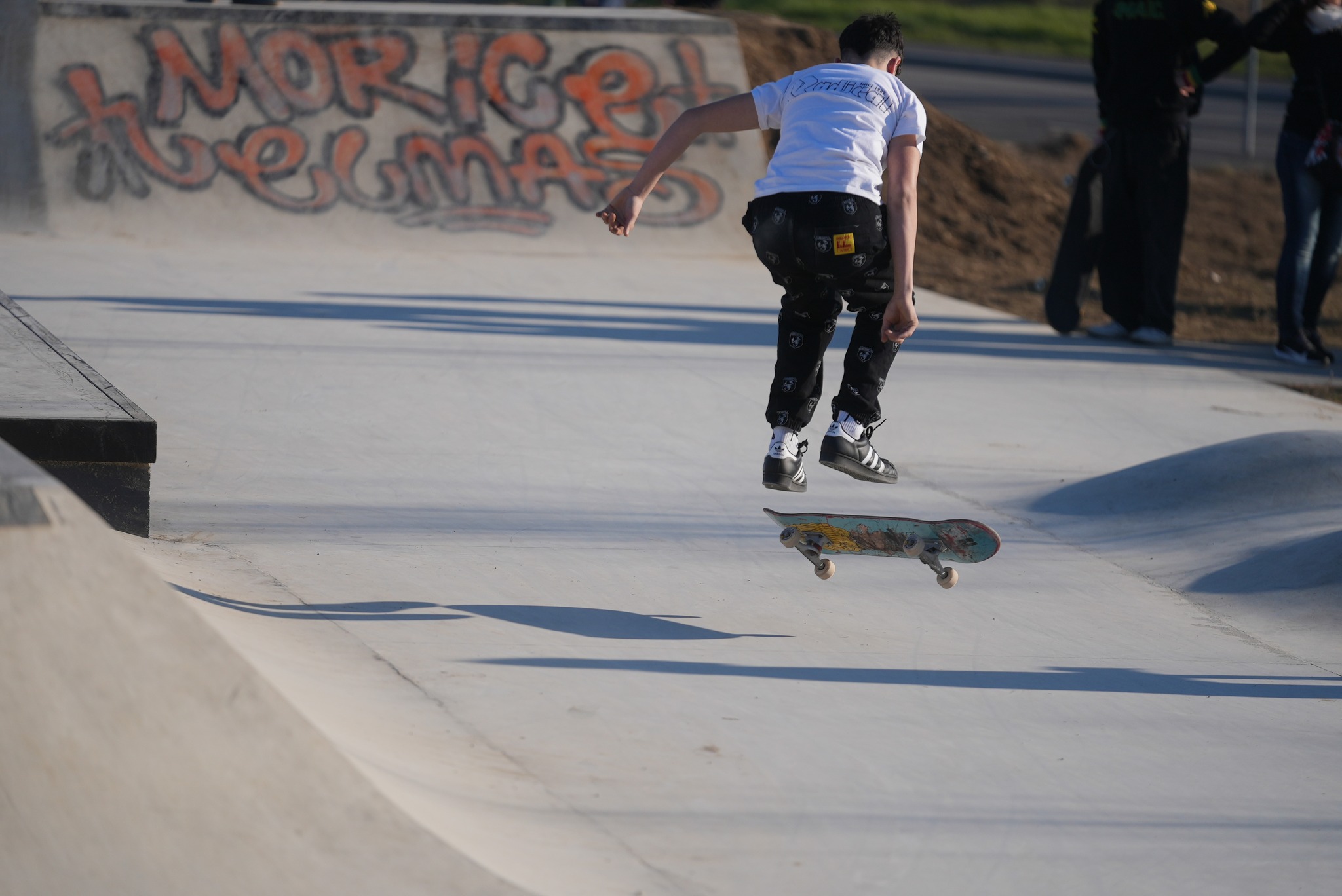 immagine di galleria 'Sixth plaza: la festa di inaugurazione dello skatepark nel Parco di Cascina Gatti'