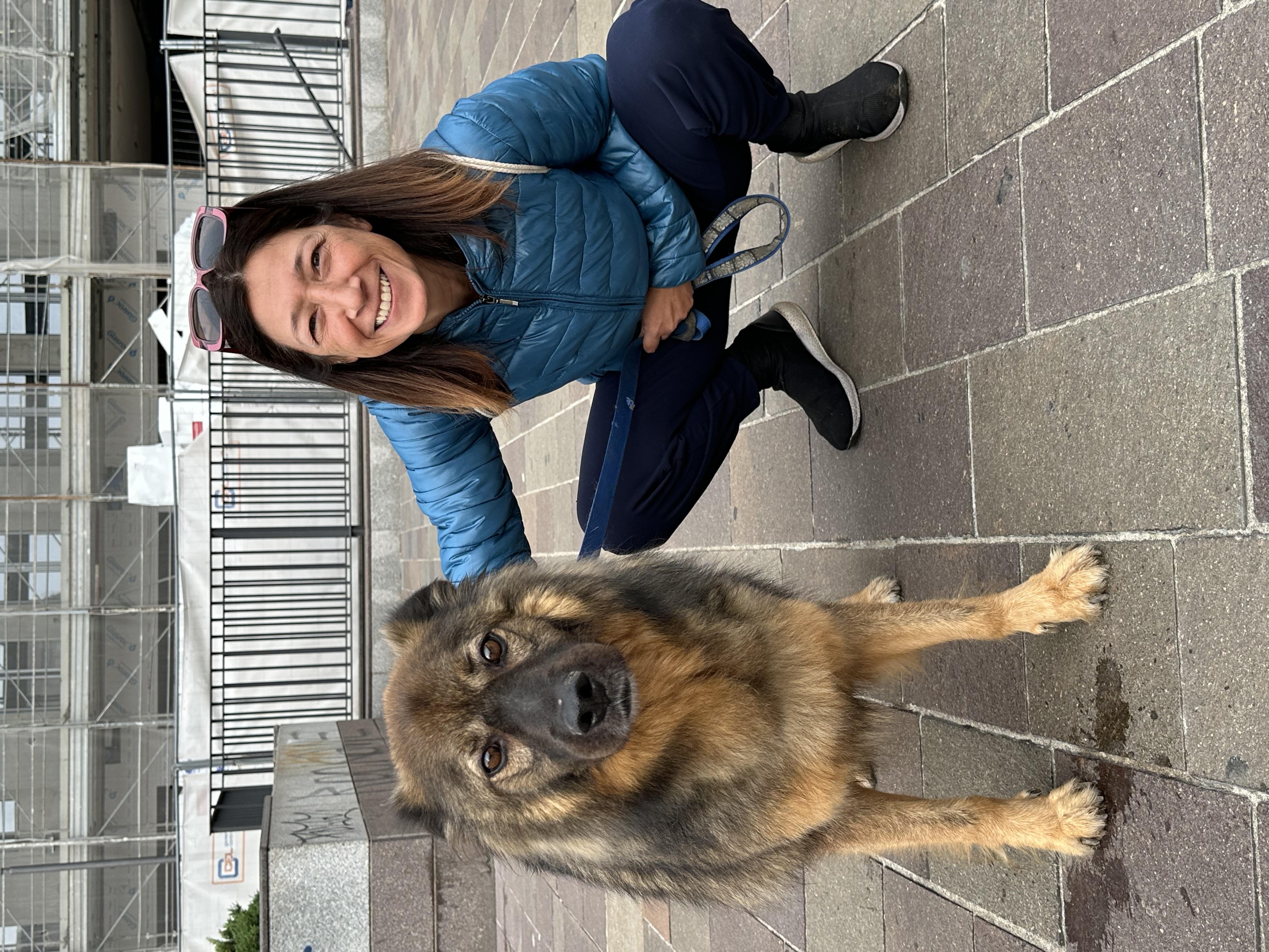 immagine di galleria