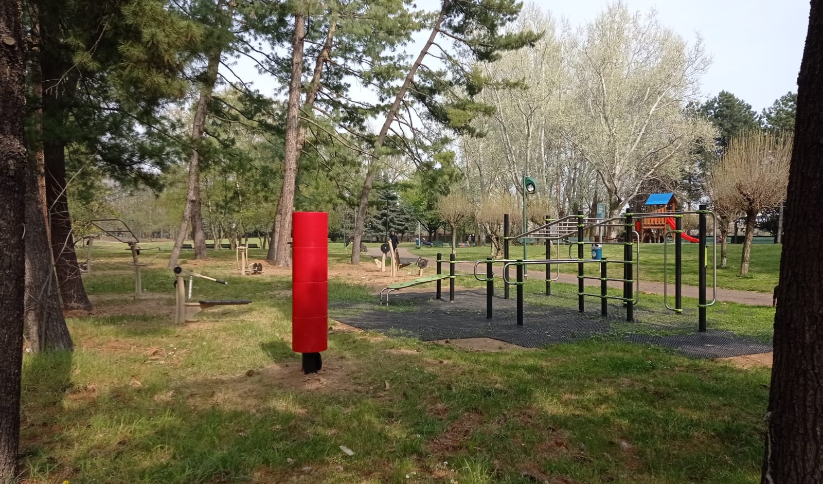 immagine di galleria