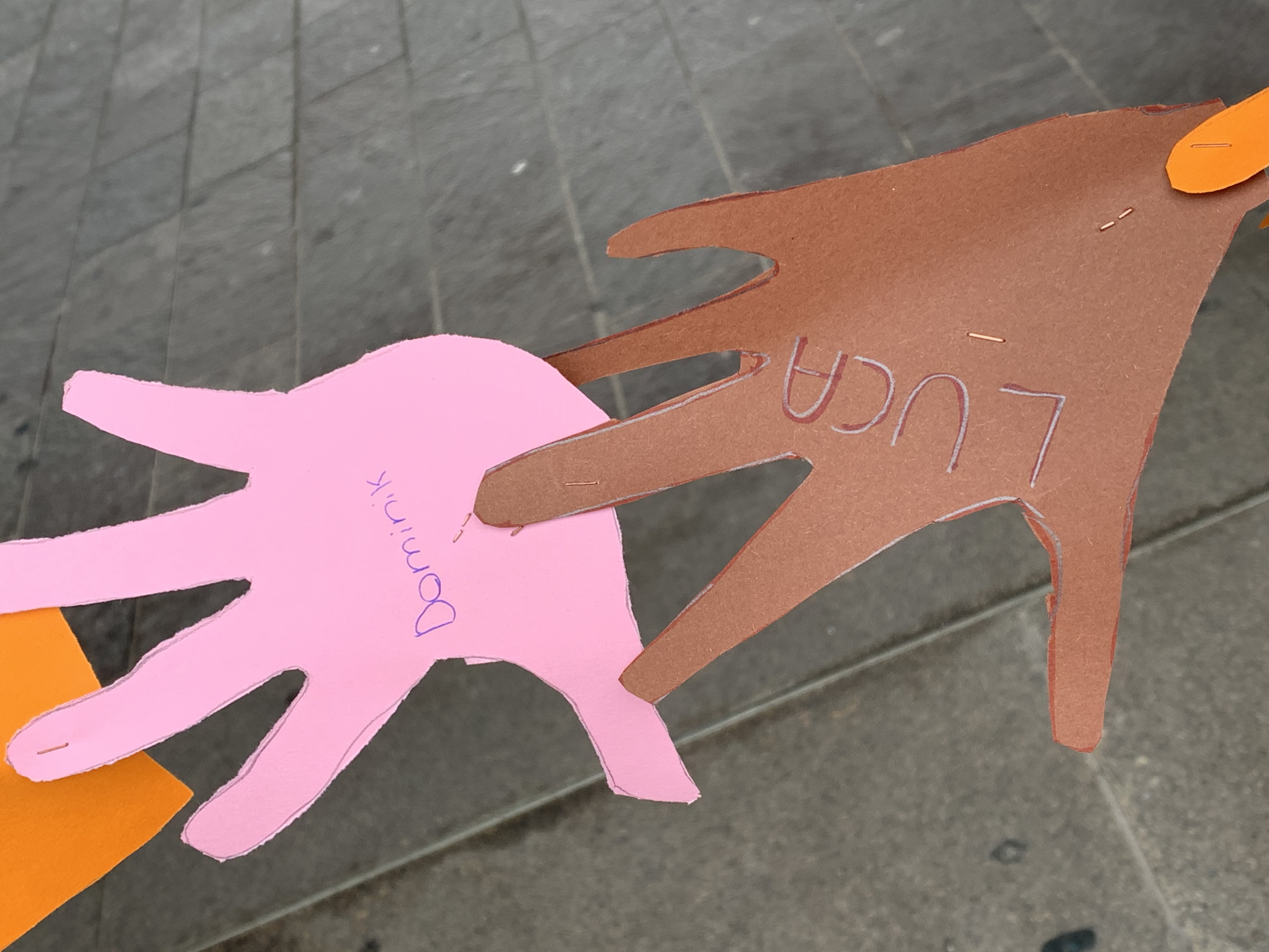 immagine di galleria