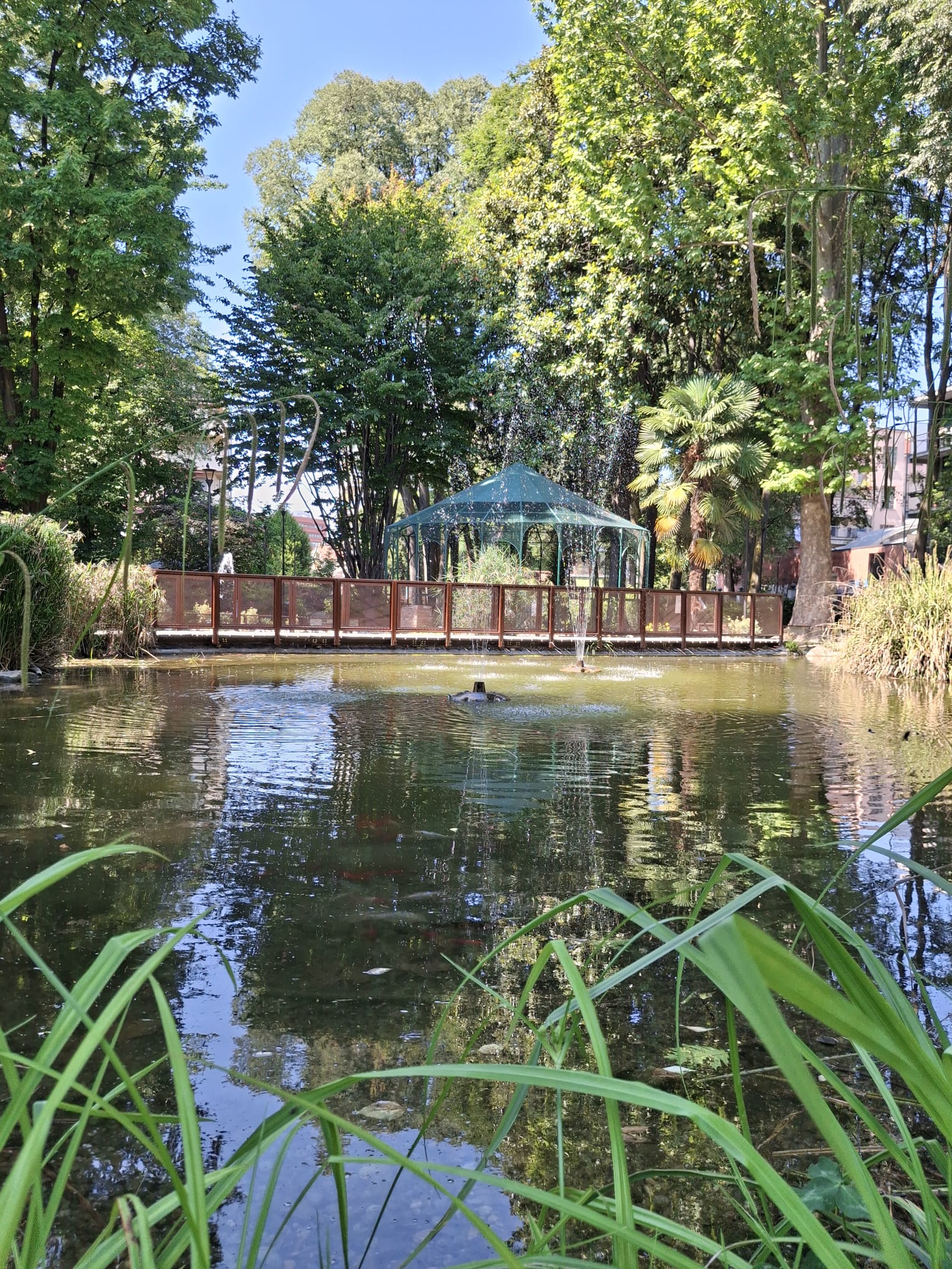 immagine di galleria