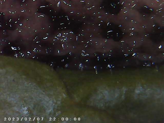 immagine di galleria