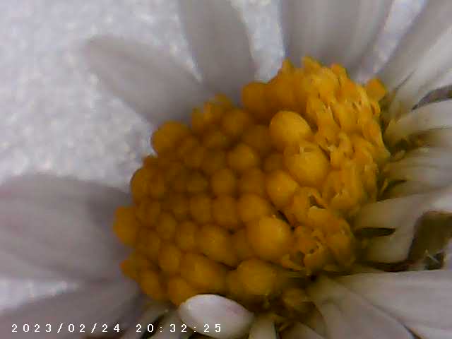 immagine di galleria