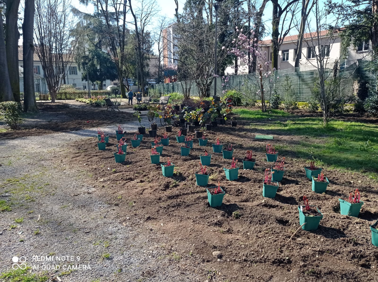 immagine di galleria 'Restyling del giardino di villa Mylius - prima parte'