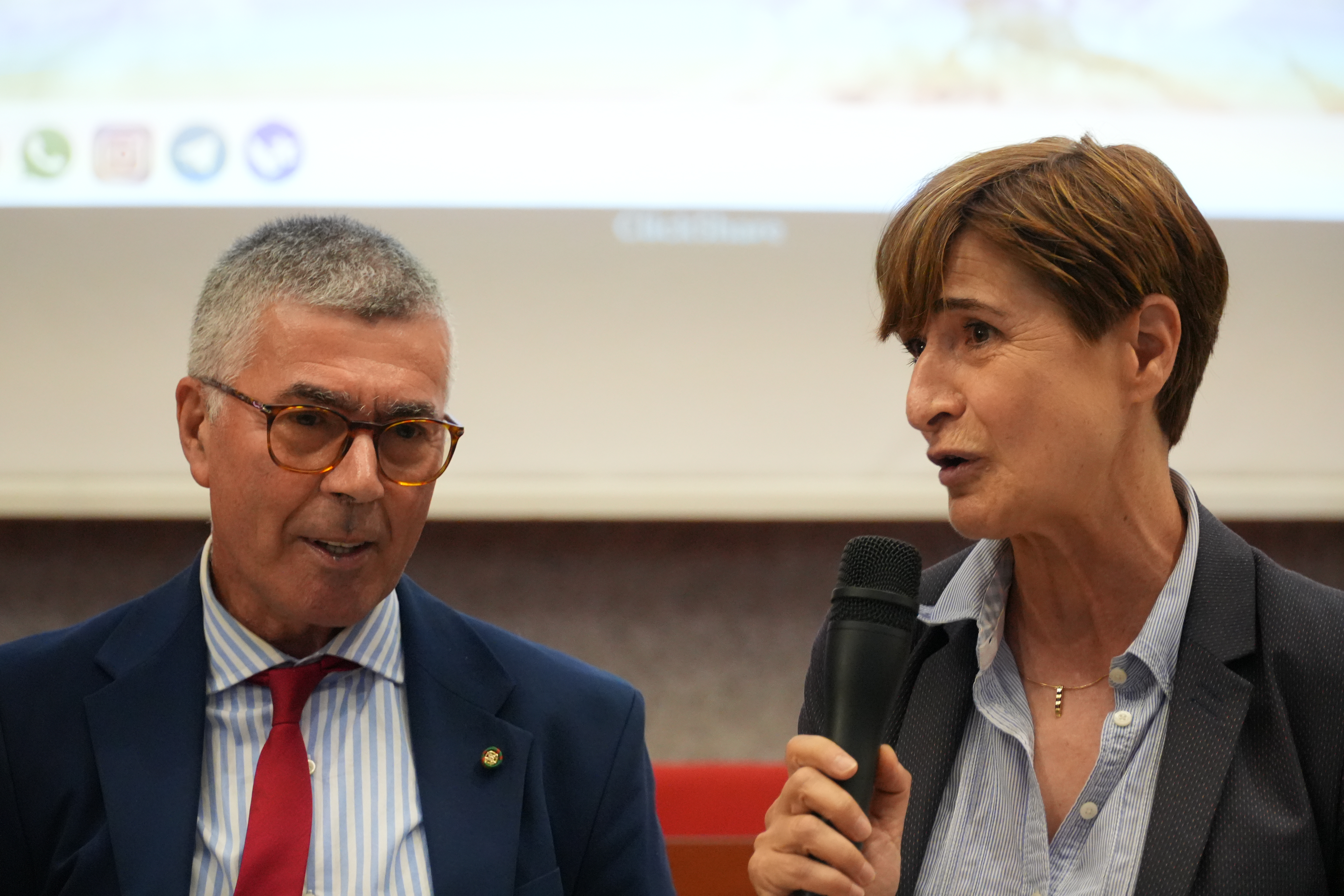 immagine di galleria