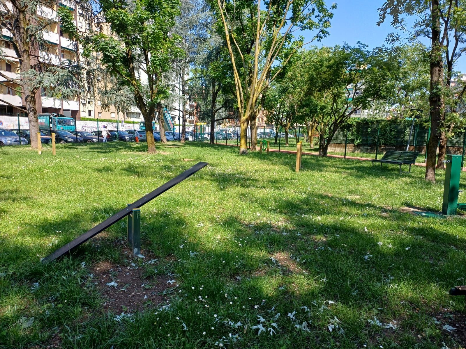 immagine di galleria