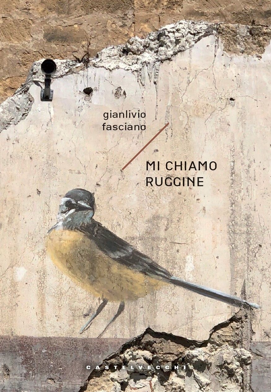 immagine di galleria