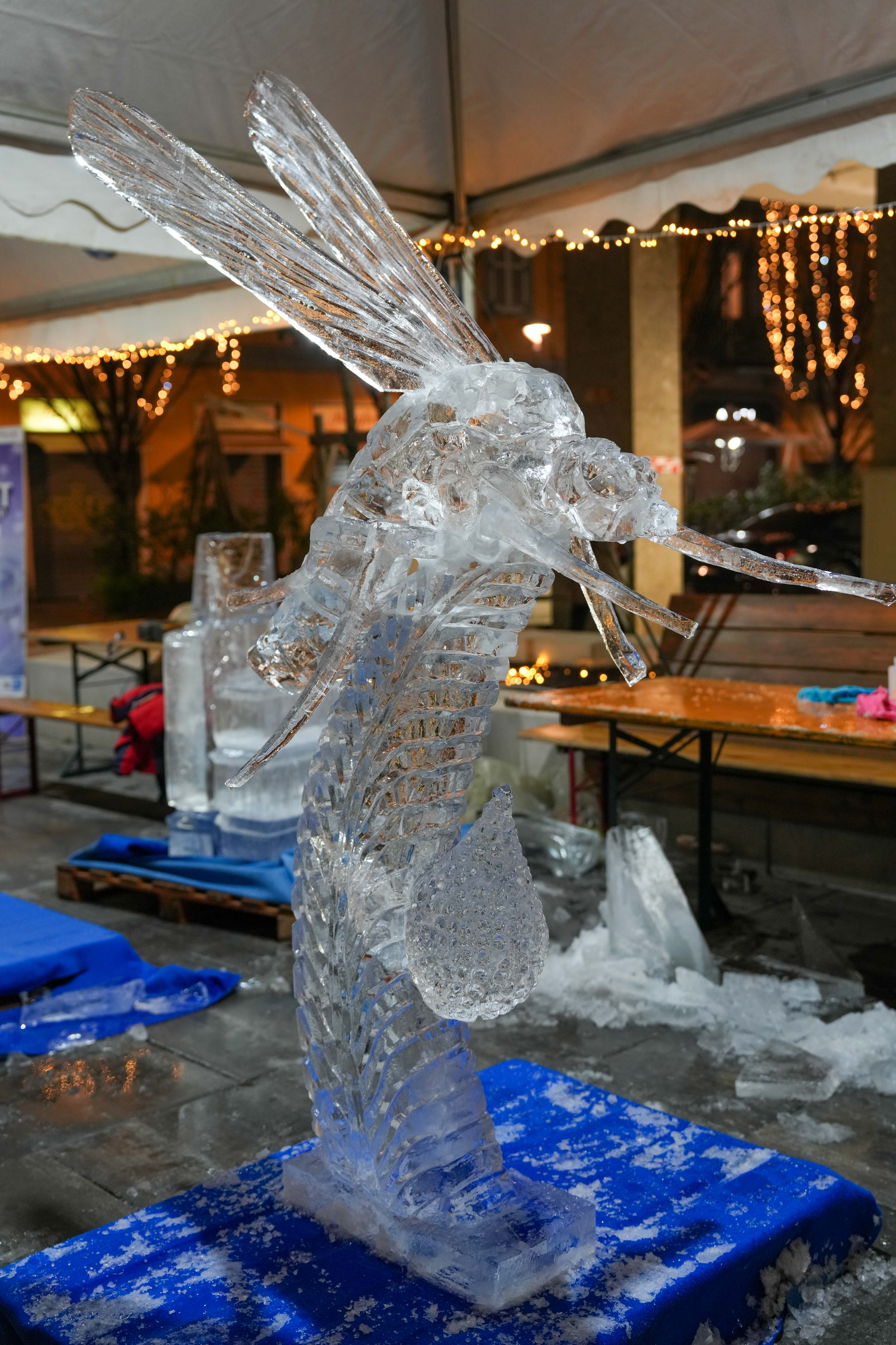immagine di galleria 'World Ice Art Championship'