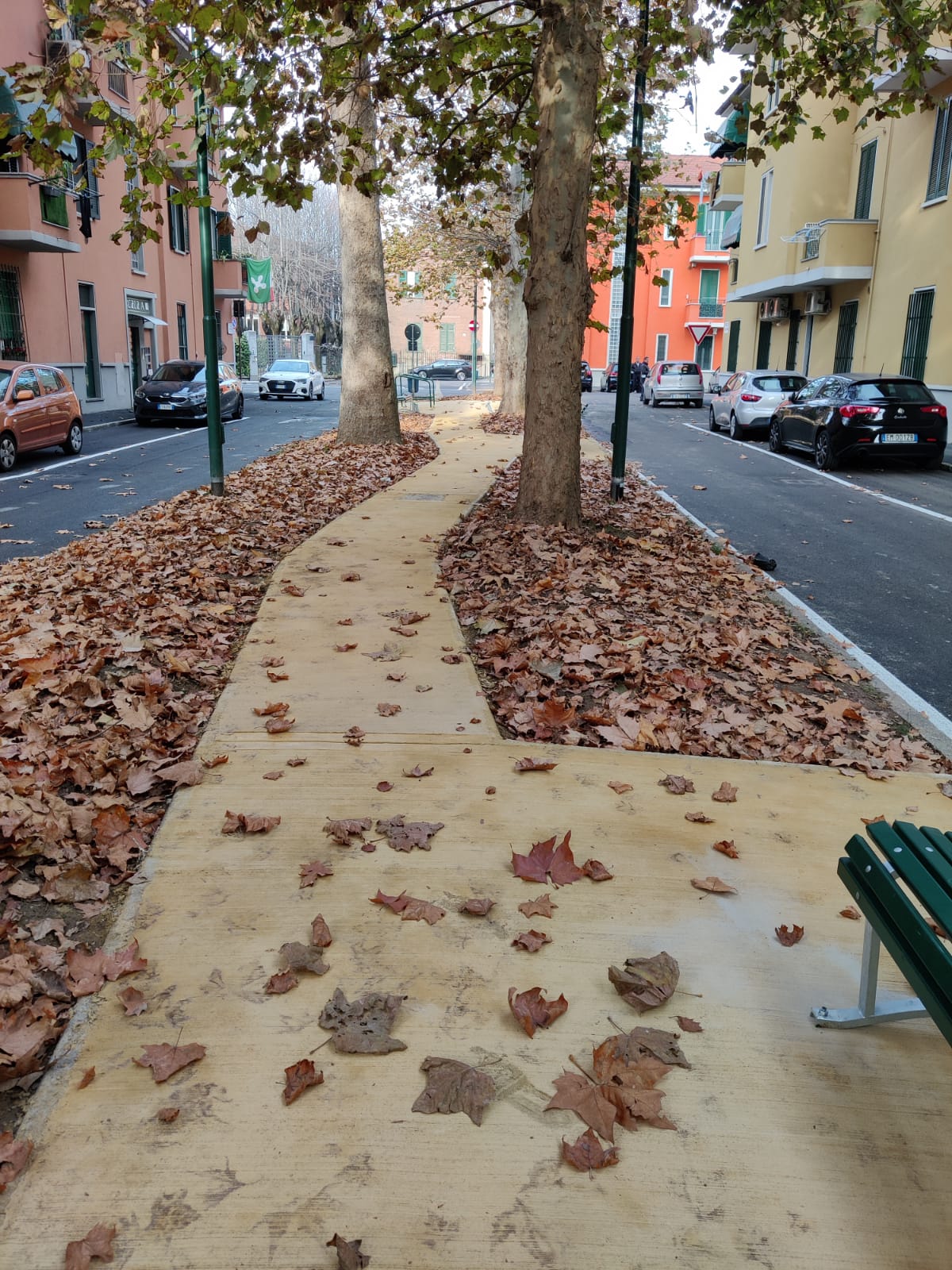 immagine di galleria