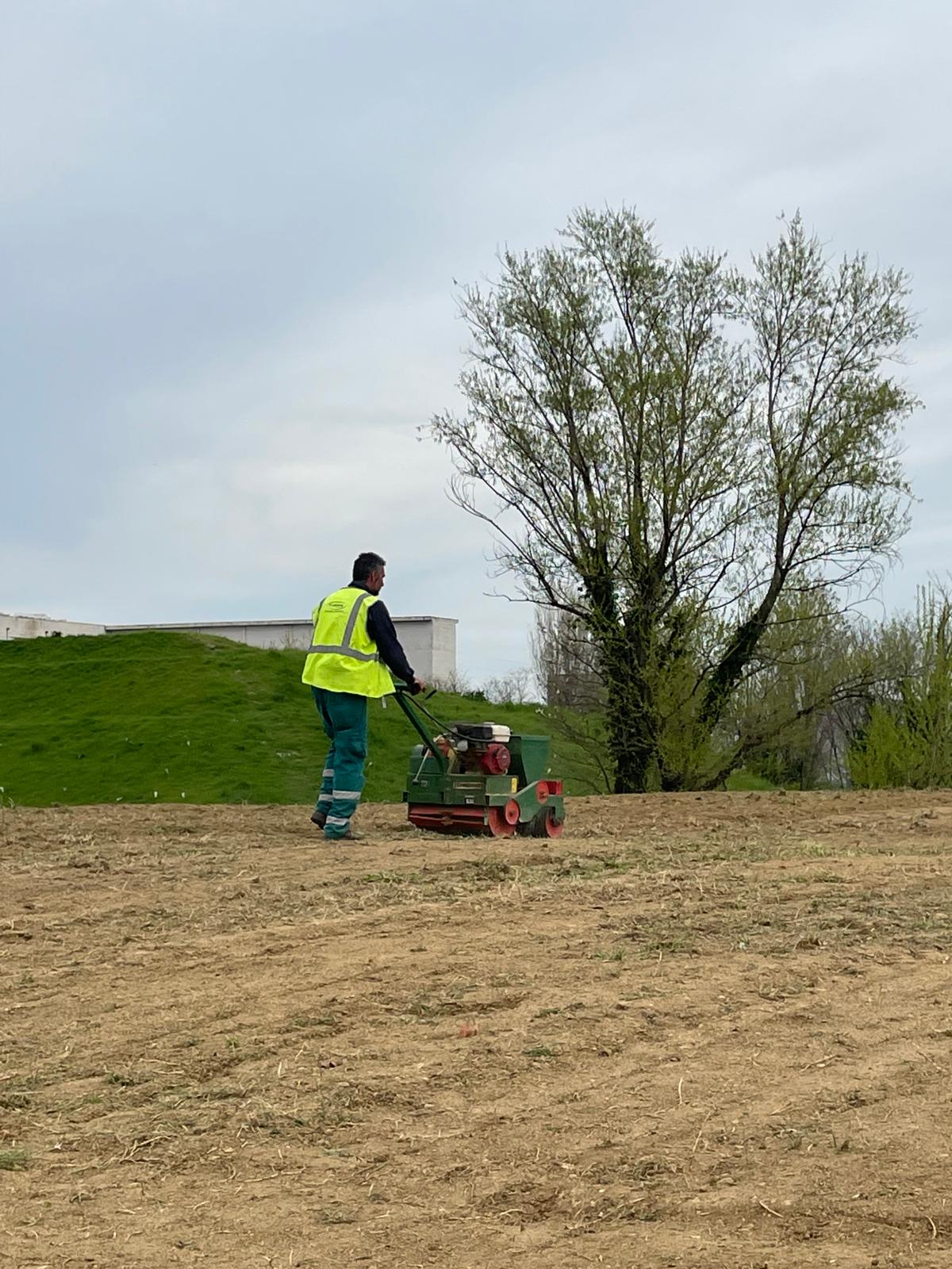 immagine di galleria 'Prato fiorito alla Bergamella'