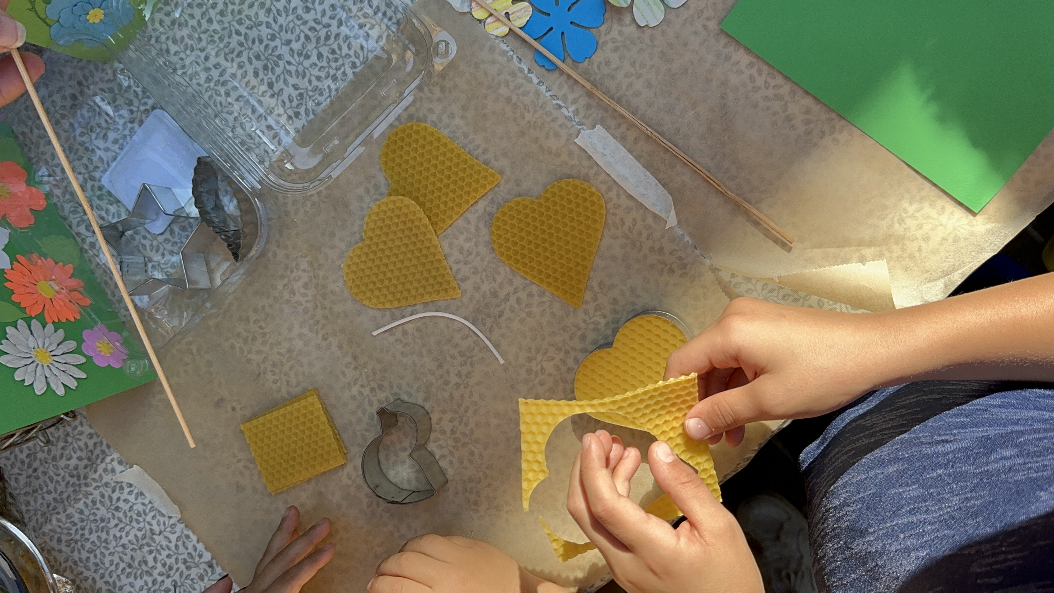 immagine di galleria 'Festa dello Sport, del Volontariato e della Salute 2023'