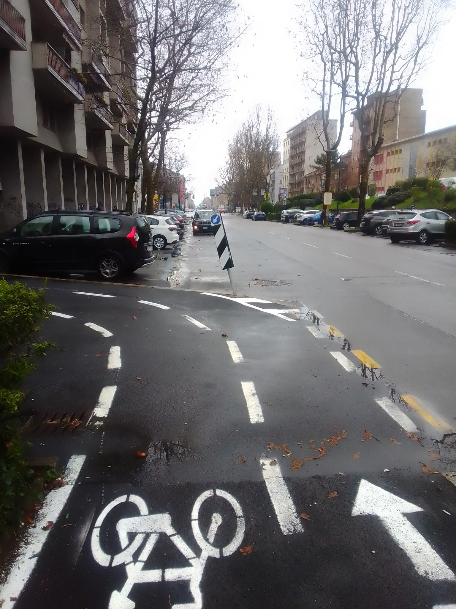 immagine di galleria 'Bicipolitana: la rete ciclabile in Città'