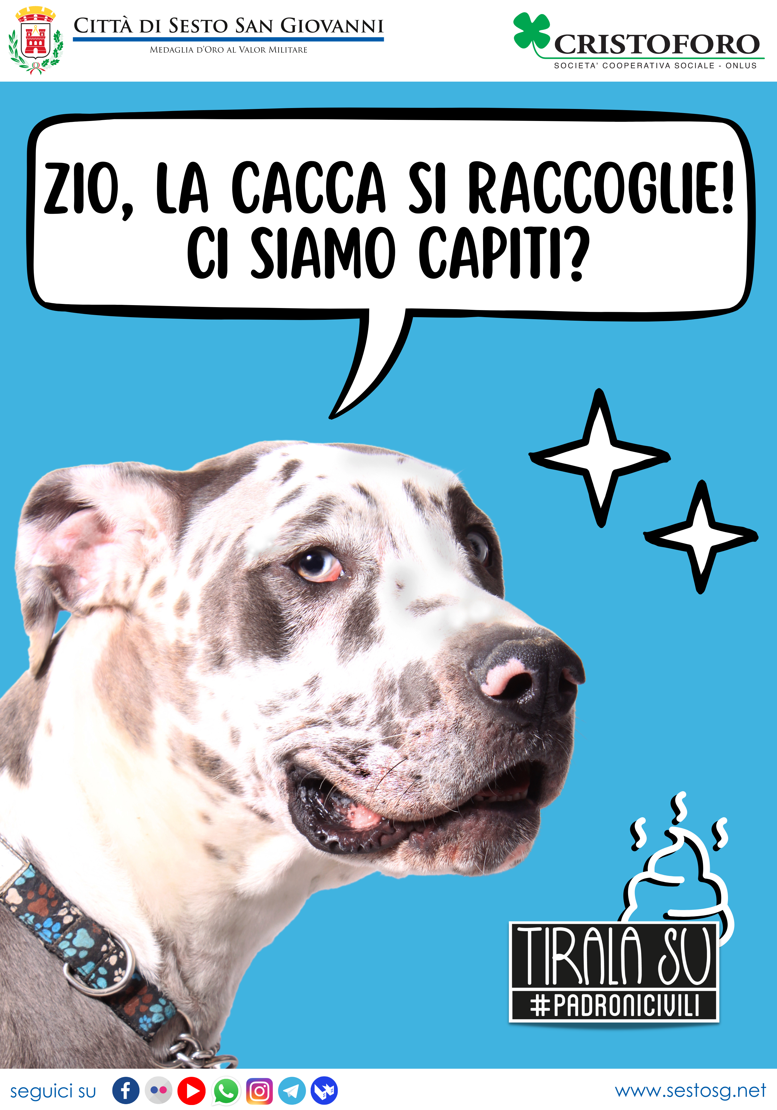 immagine di galleria