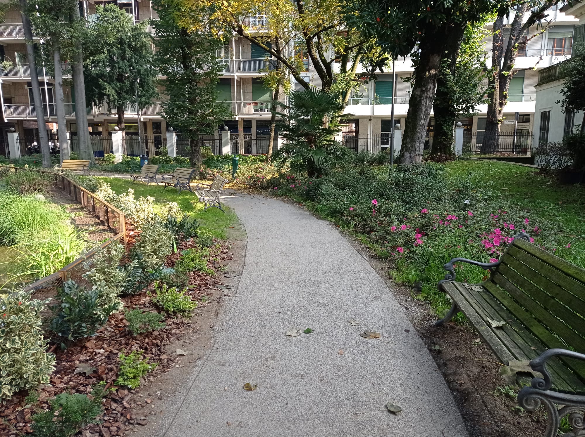 immagine di galleria