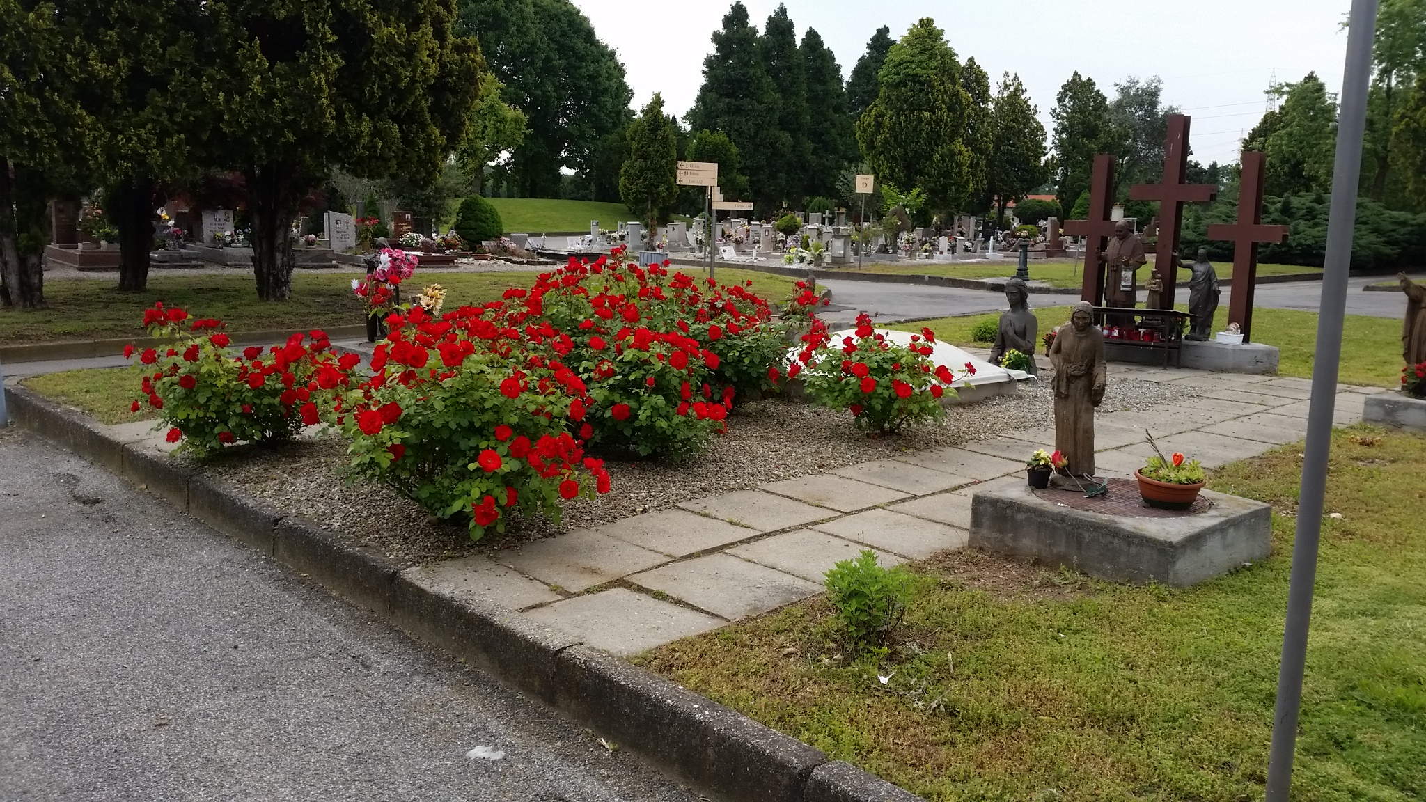 immagine di galleria