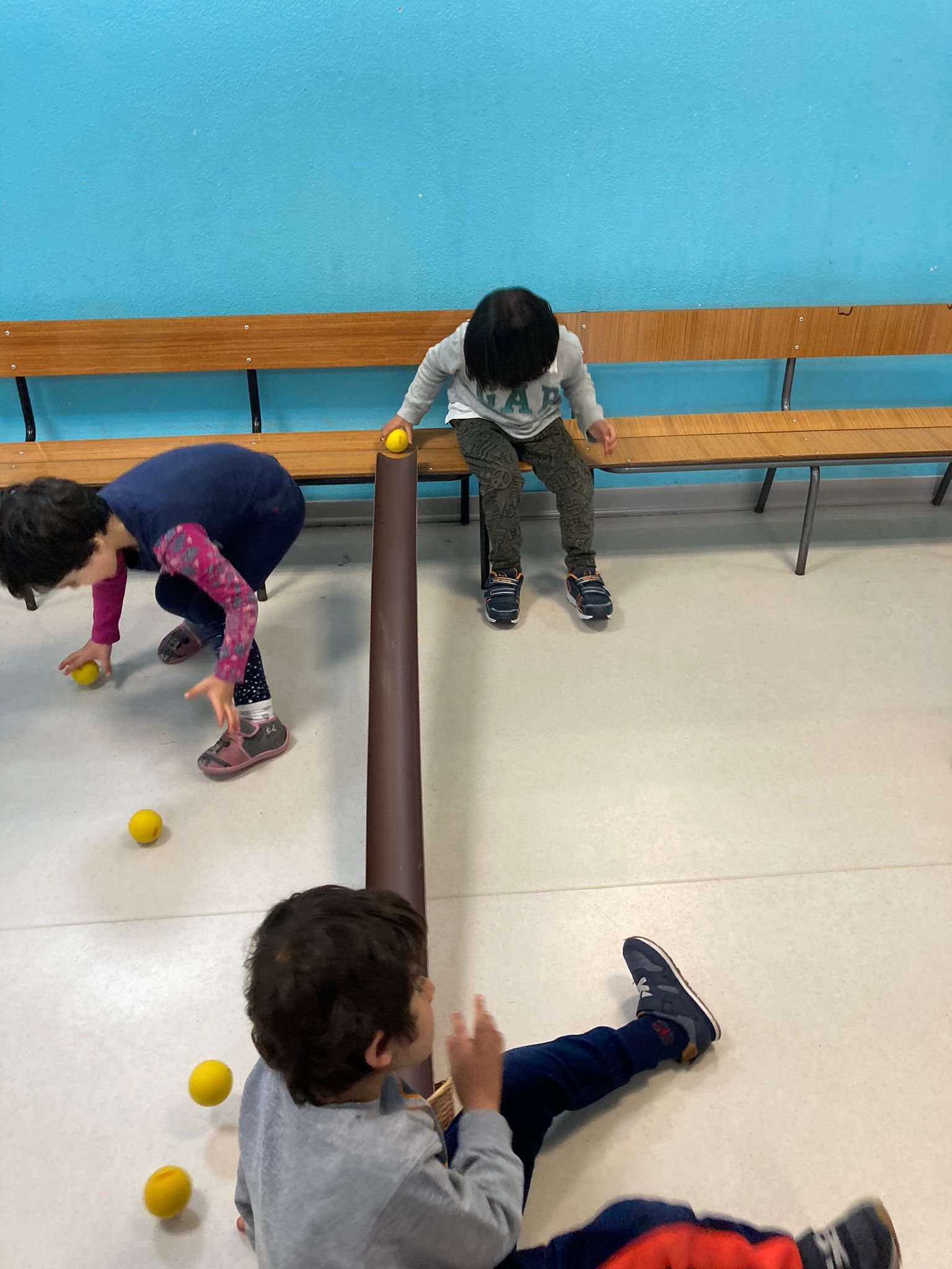 immagine di galleria 'C4S Communities for Sciences: le foto'