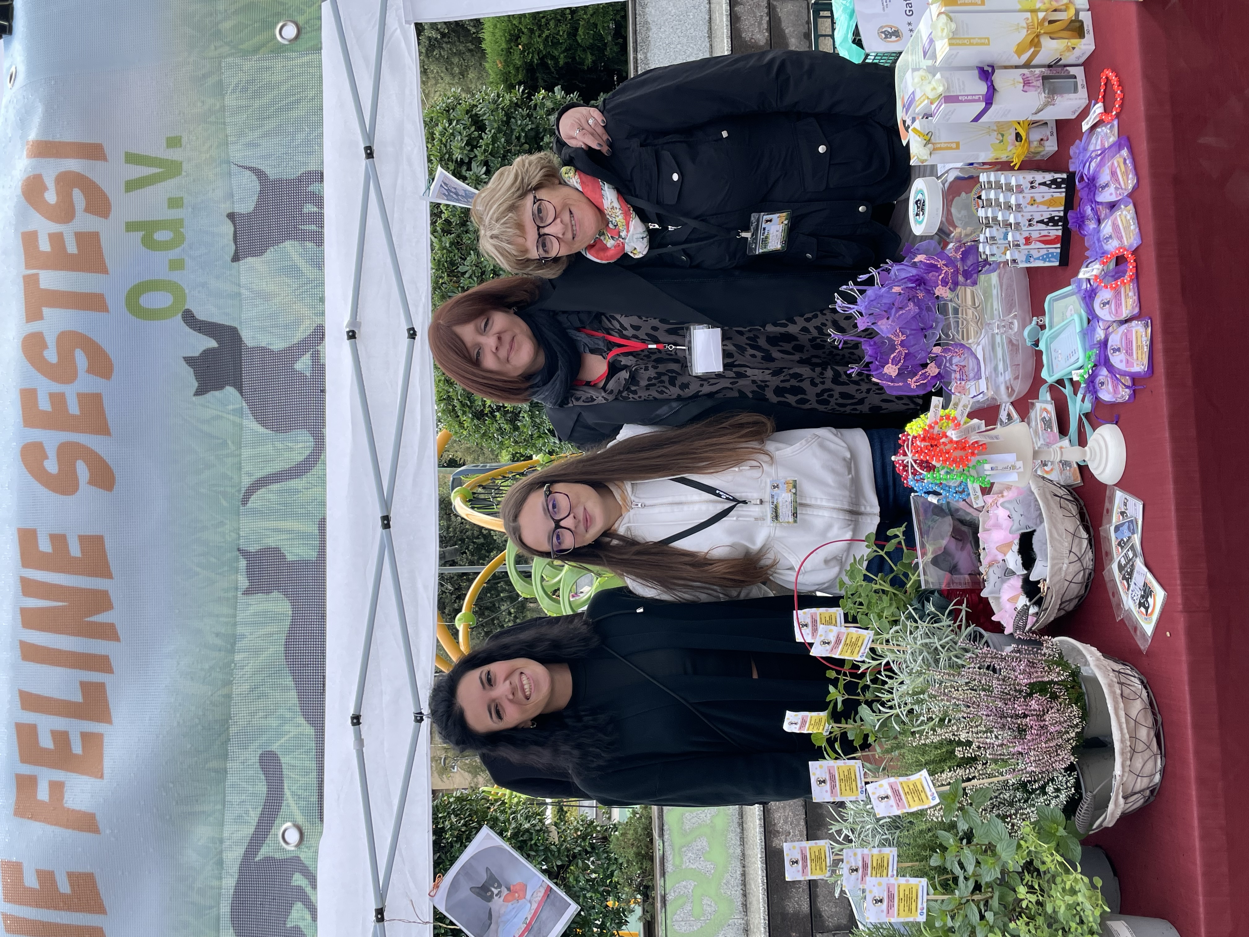 immagine di galleria 'Festa dello Sport, del Volontariato e della Salute 2023'