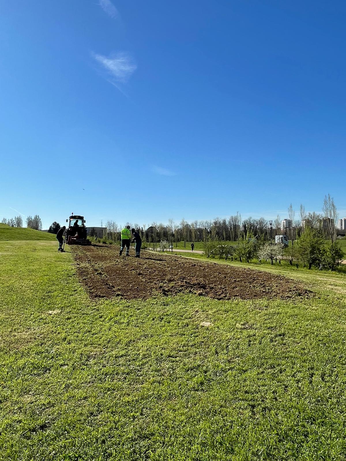 immagine di galleria 'Prato fiorito alla Bergamella'