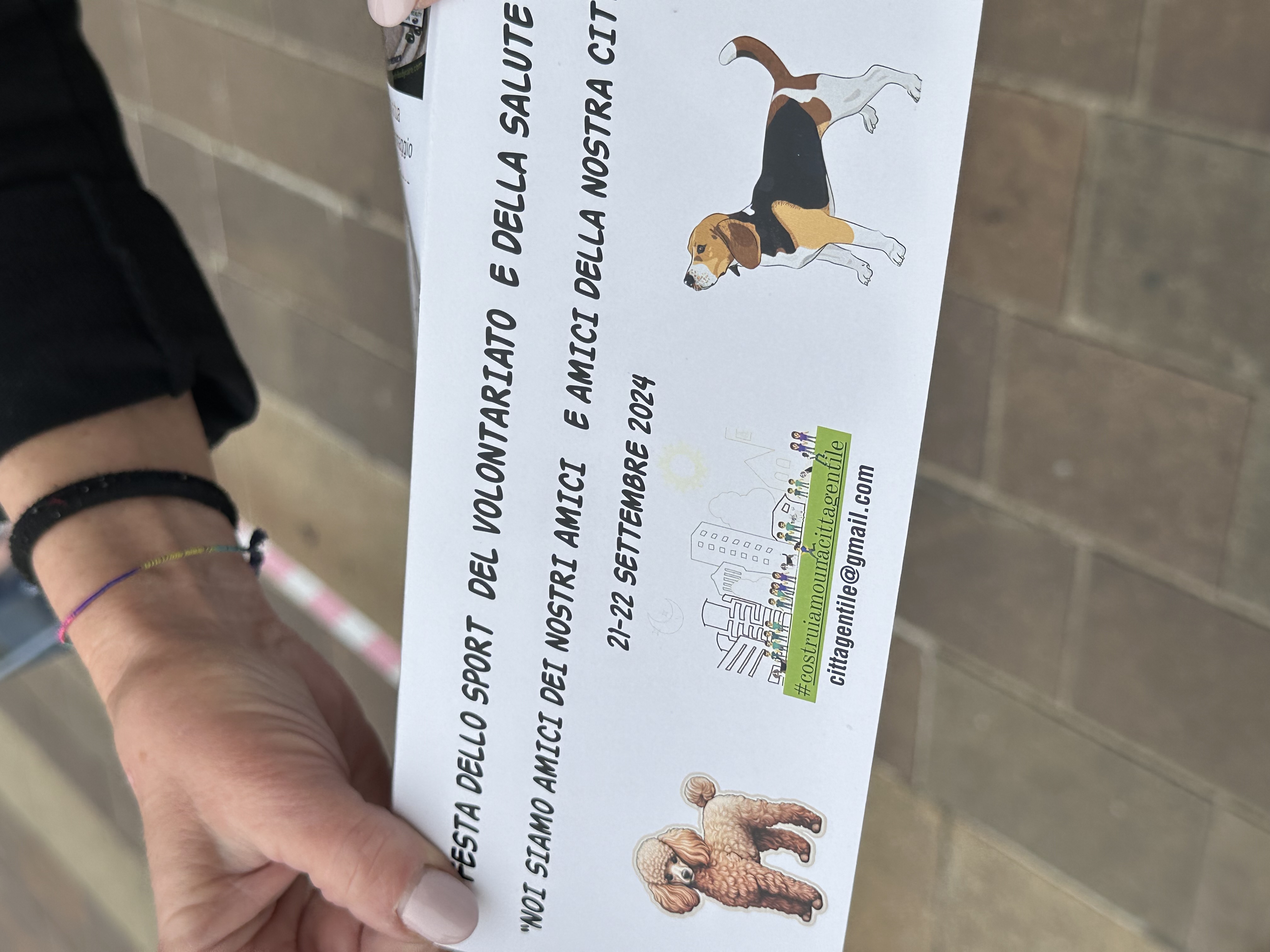 immagine di galleria 'Festa dello Sport, del Volontariato e della Salute 2024'