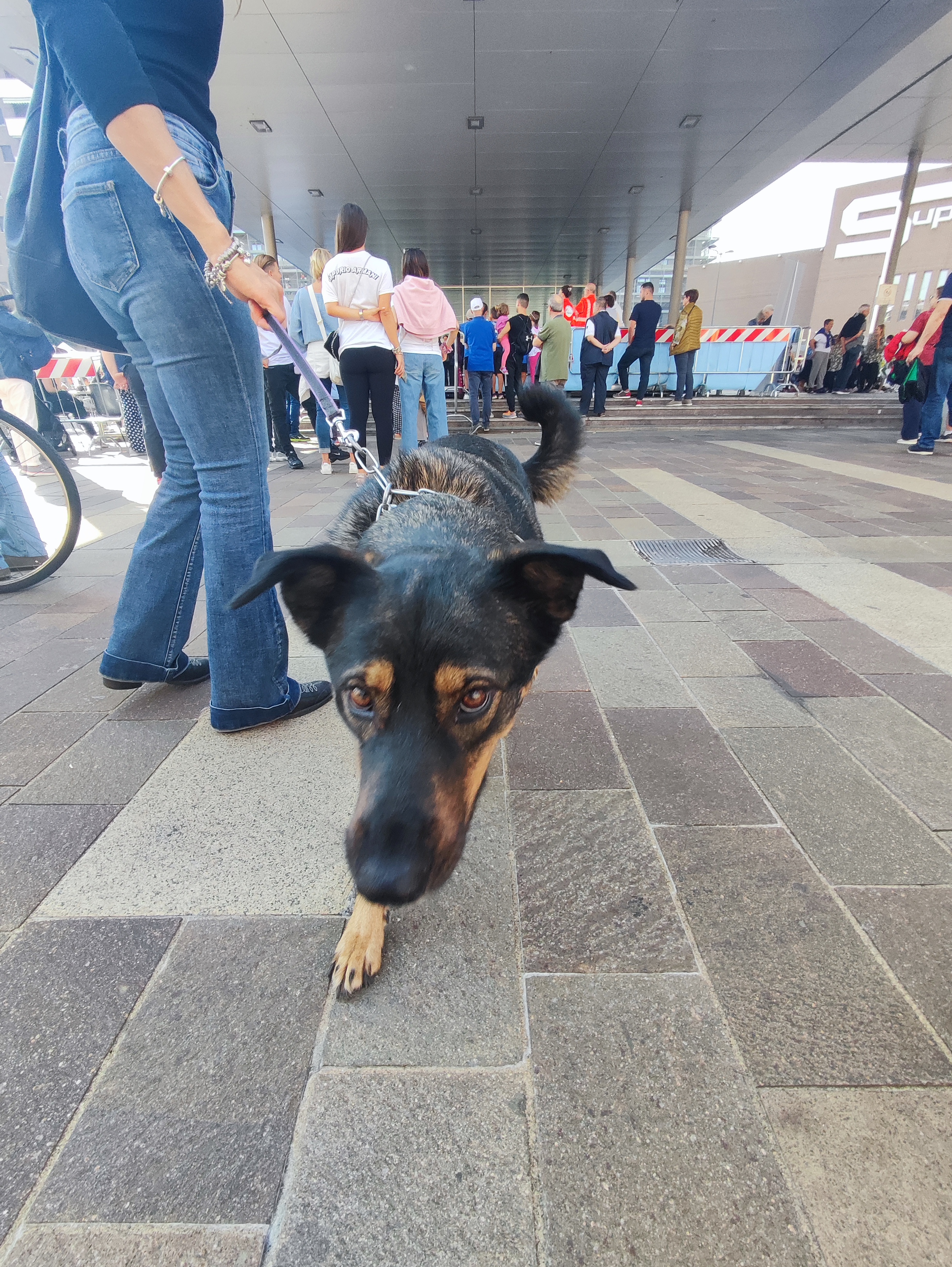 immagine di galleria